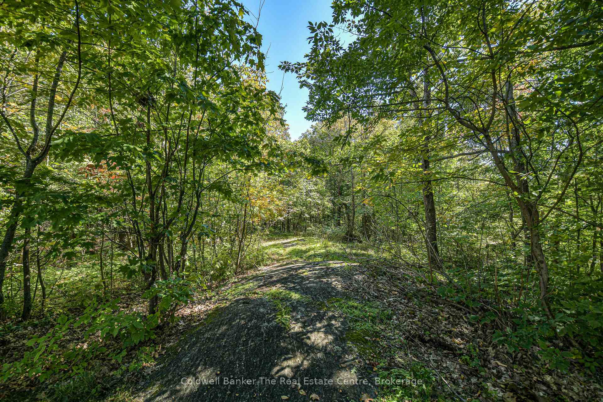 Photo 38 of 115 Jones Road, Gravenhurst, Muskoka (S) — HOMEH