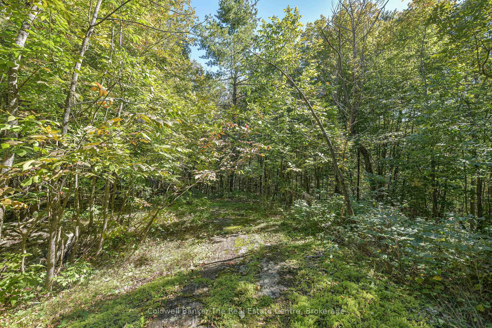 Photo 39 of 115 Jones Road, Gravenhurst, Muskoka (S) — HOMEH