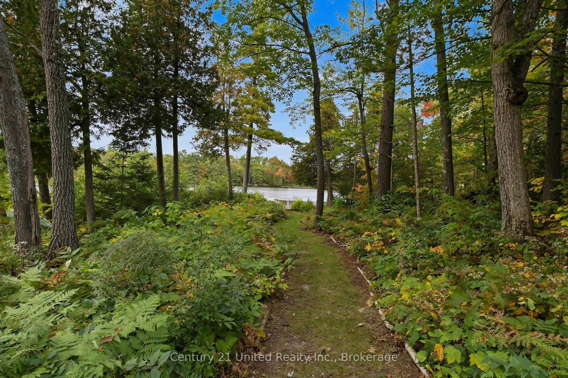 Photo 92 of 15 Spur 2, Trent Lakes — HOMEH
