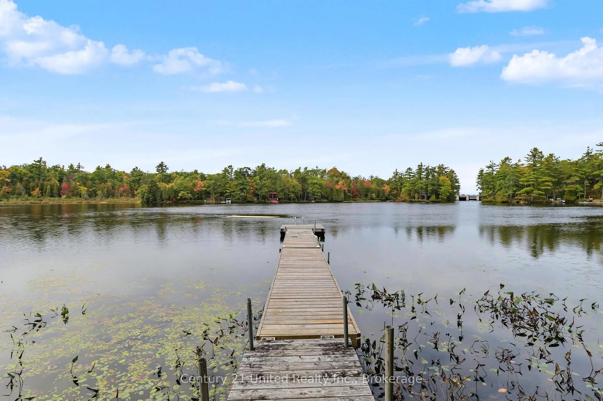 Photo 94 of 15 Spur 2, Trent Lakes — HOMEH