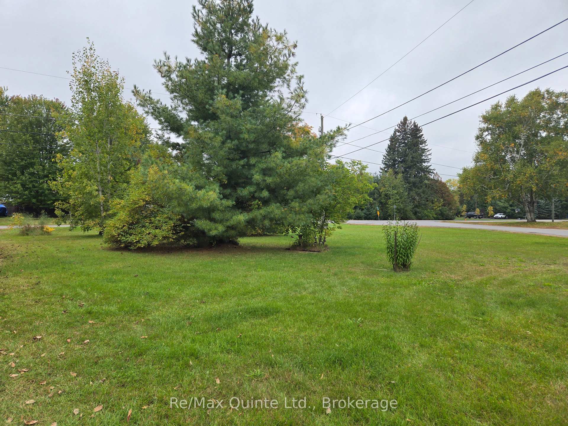 Photo 9 of 73 Charles Road, Tweed, Hungerford (Twp) — HOMEH