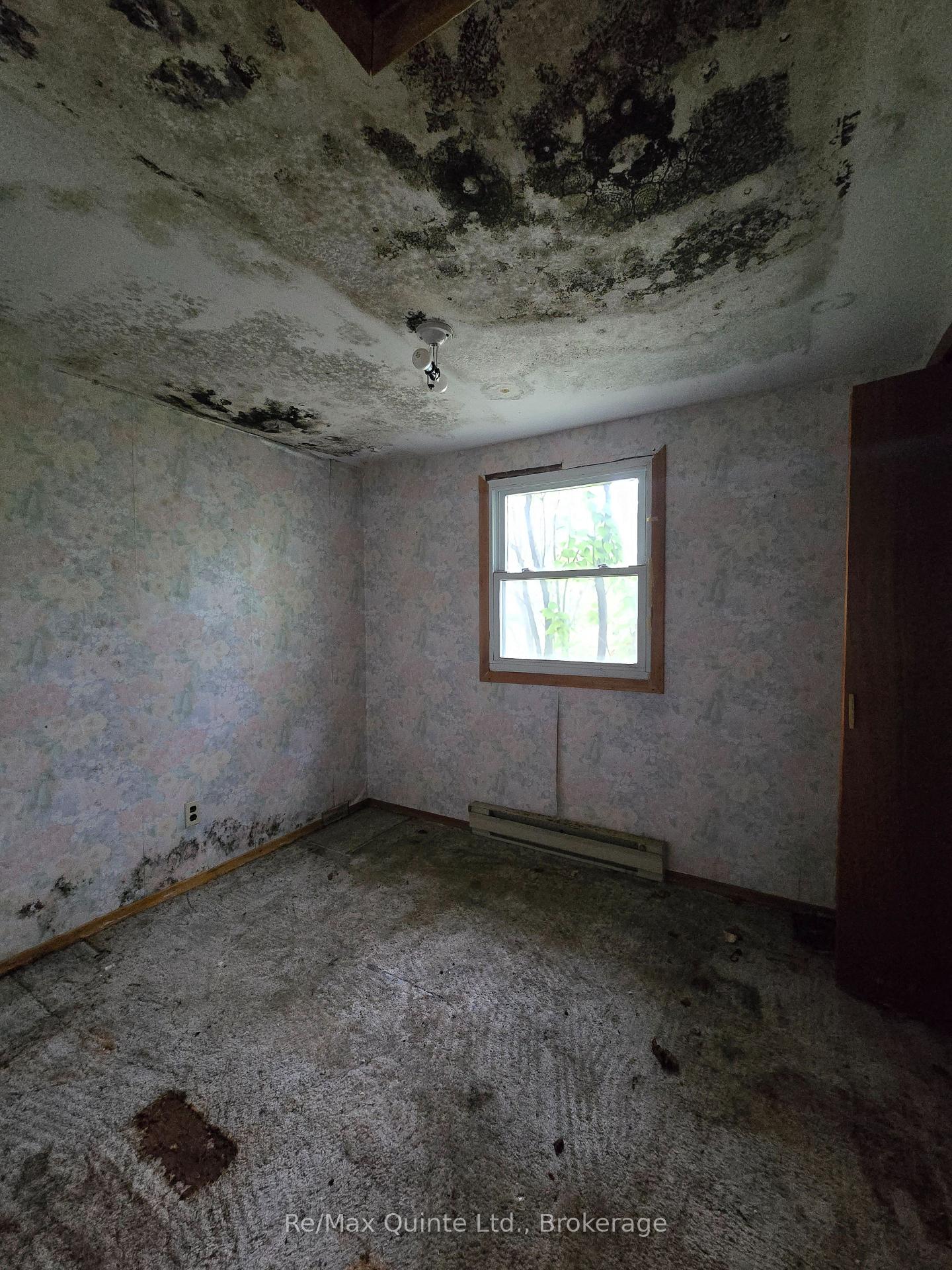Photo 17 of 73 Charles Road, Tweed, Hungerford (Twp) — HOMEH