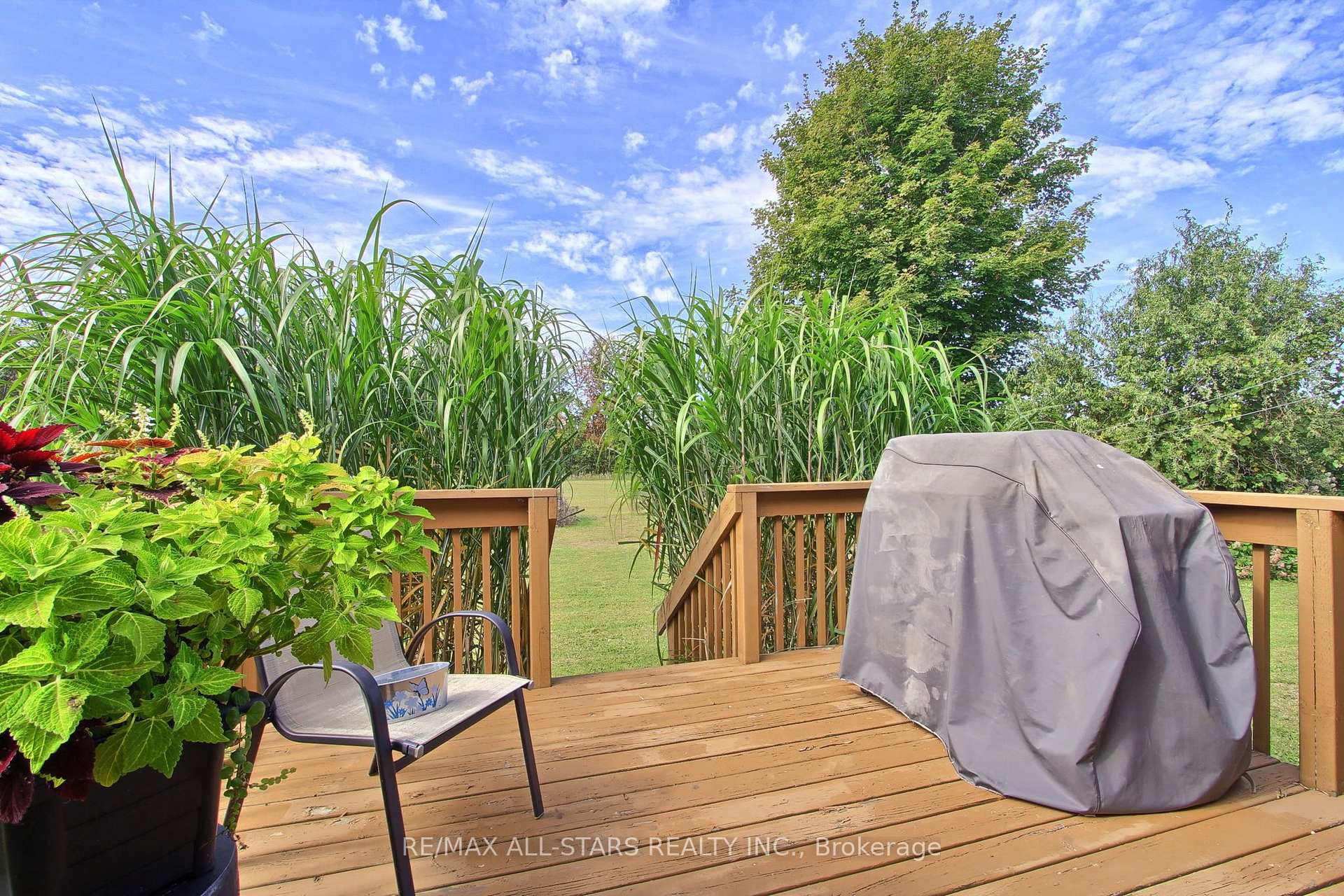 Photo 45 of 4020 Margaret Orr Boulevard, Ramara, Rural Ramara — HOMEH