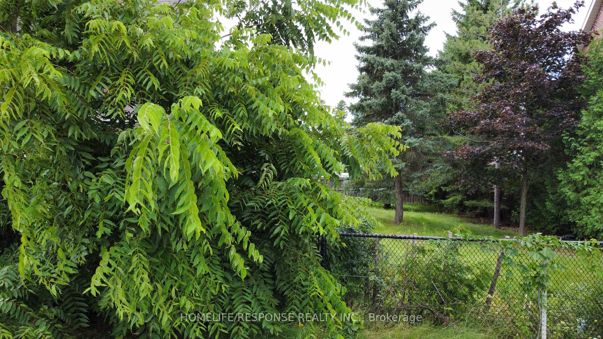 Photo 7 of 20 James Scott Road, Markham, Vinegar Hill — HOMEH