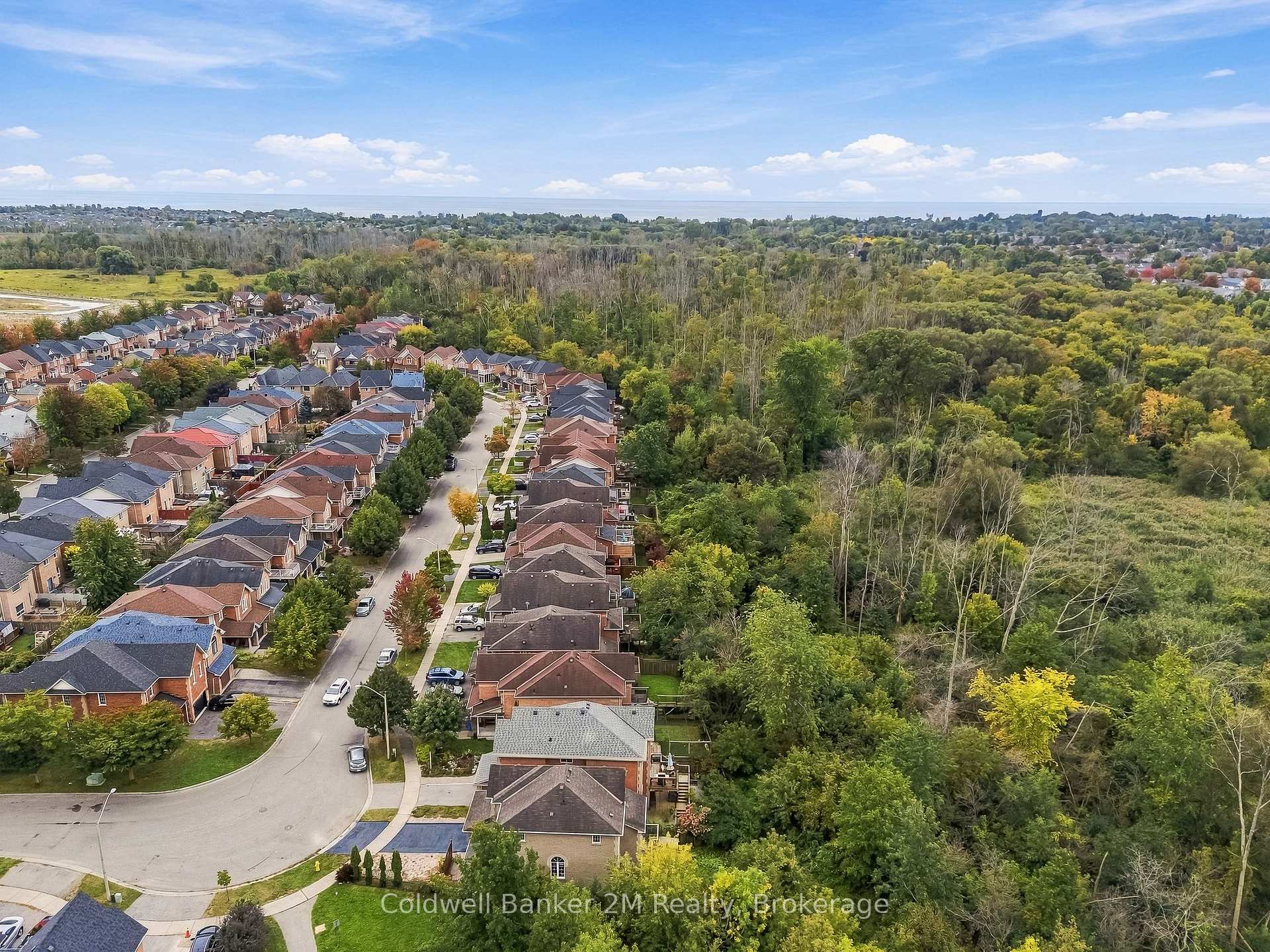 Photo 45 of 52 Marjoram Drive, Ajax, South East — HOMEH