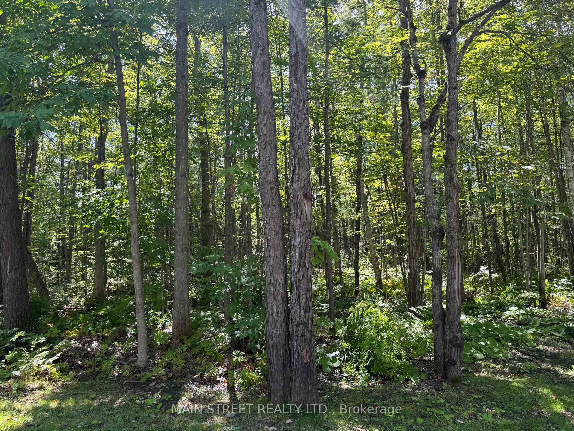 Photo 31 of Unit 21, 1007 Racoon Road, Gravenhurst, Morrison — HOMEH