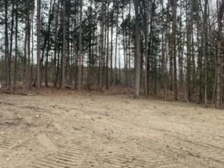 Photo 4 of County Rd 42, Trent Hills, Rural Trent Hills — HOMEH