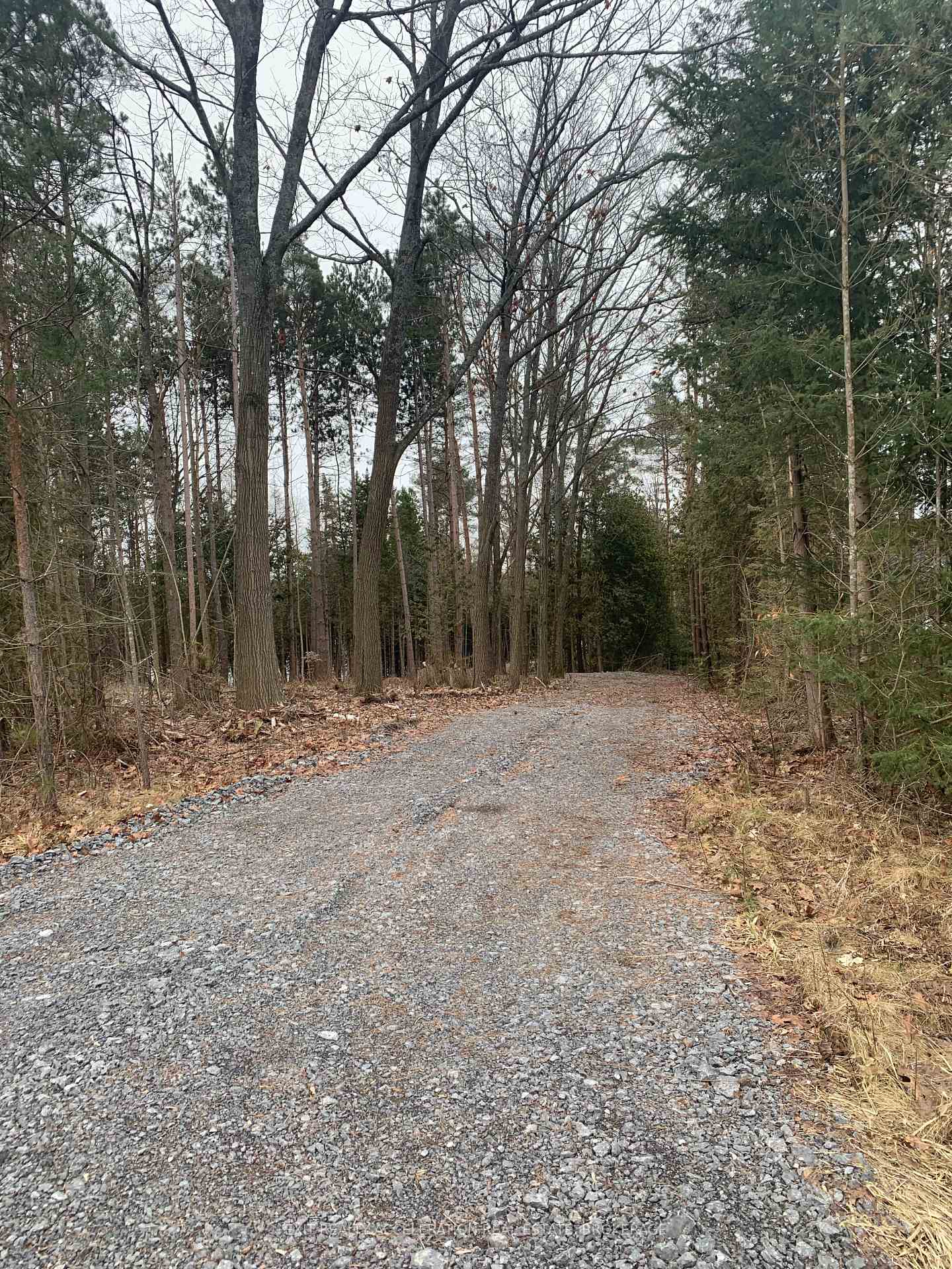 Photo 5 of County Rd 42, Trent Hills, Rural Trent Hills — HOMEH