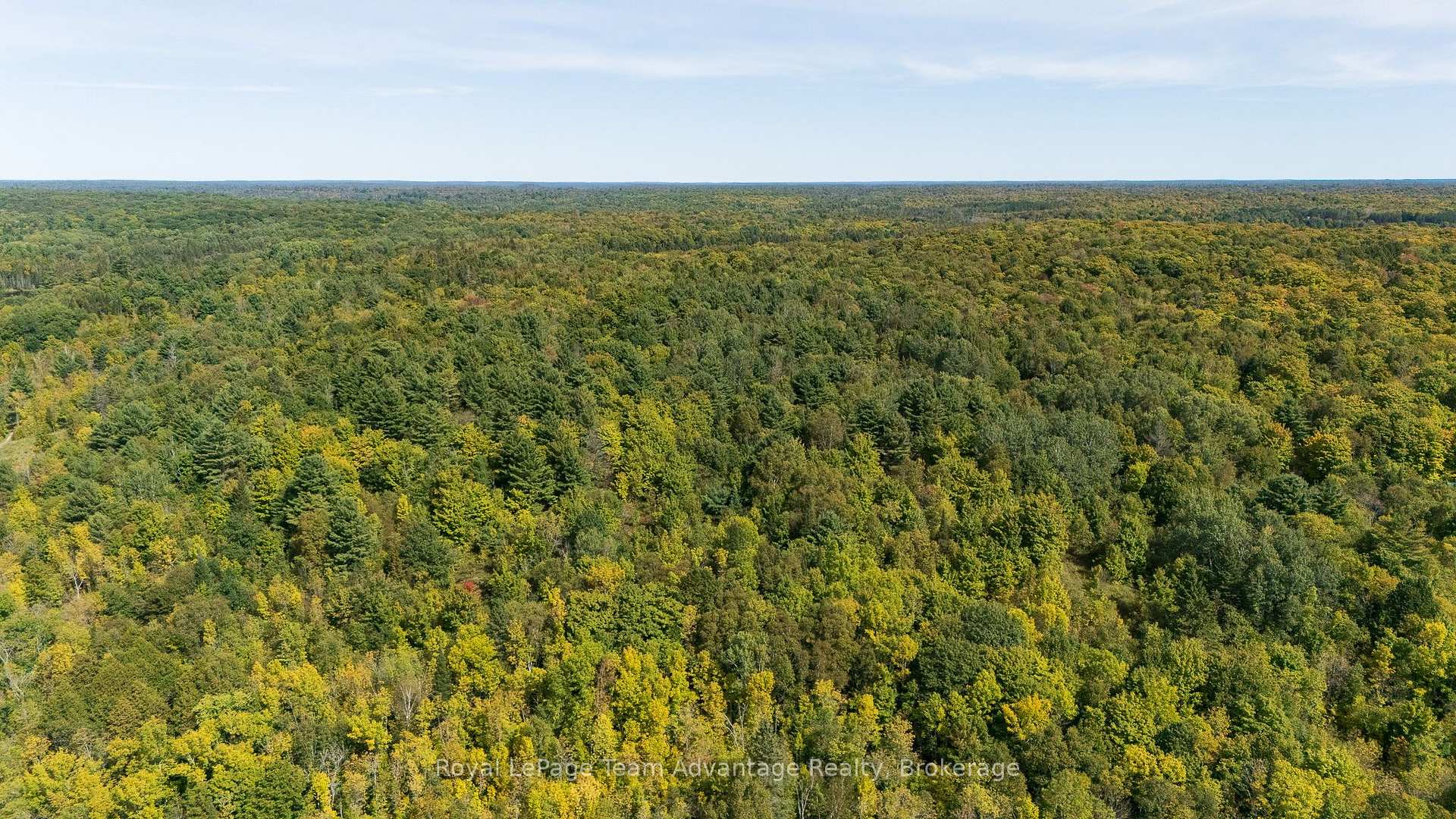 Photo 6 of Ladds / Shorts Mill Co Road, Whitestone — HOMEH