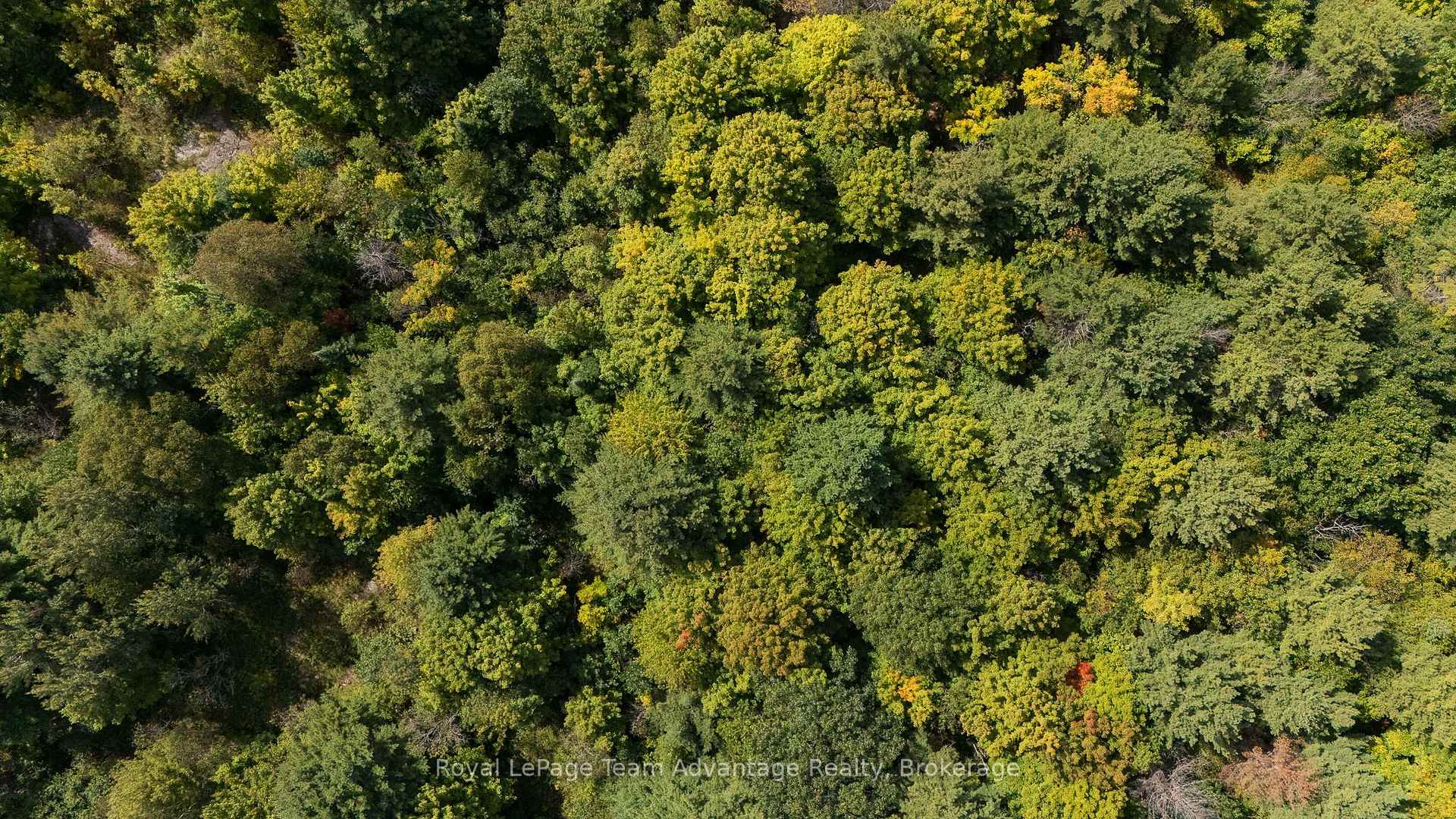 Photo 12 of Ladds / Shorts Mill Co Road, Whitestone — HOMEH