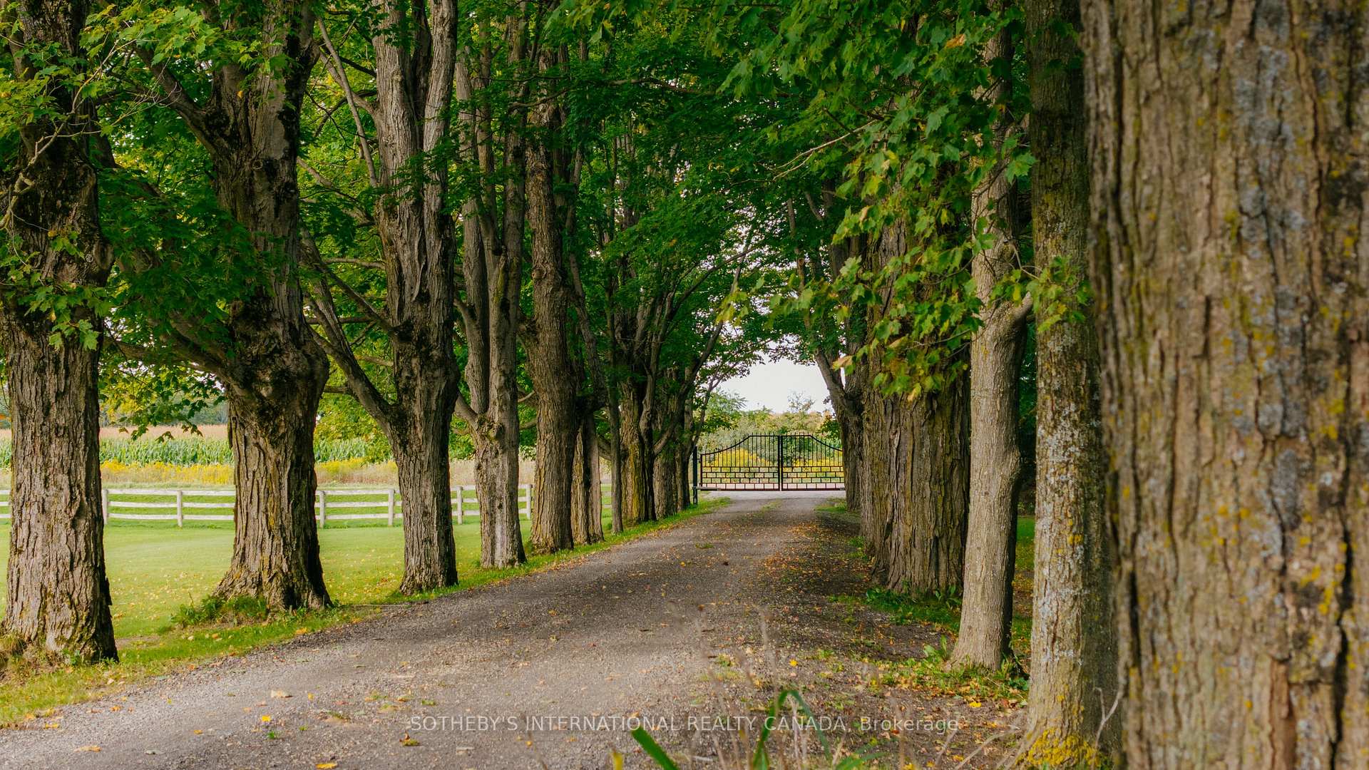 Photo 3 of 435201 4th Line, Amaranth, Rural Amaranth — HOMEH