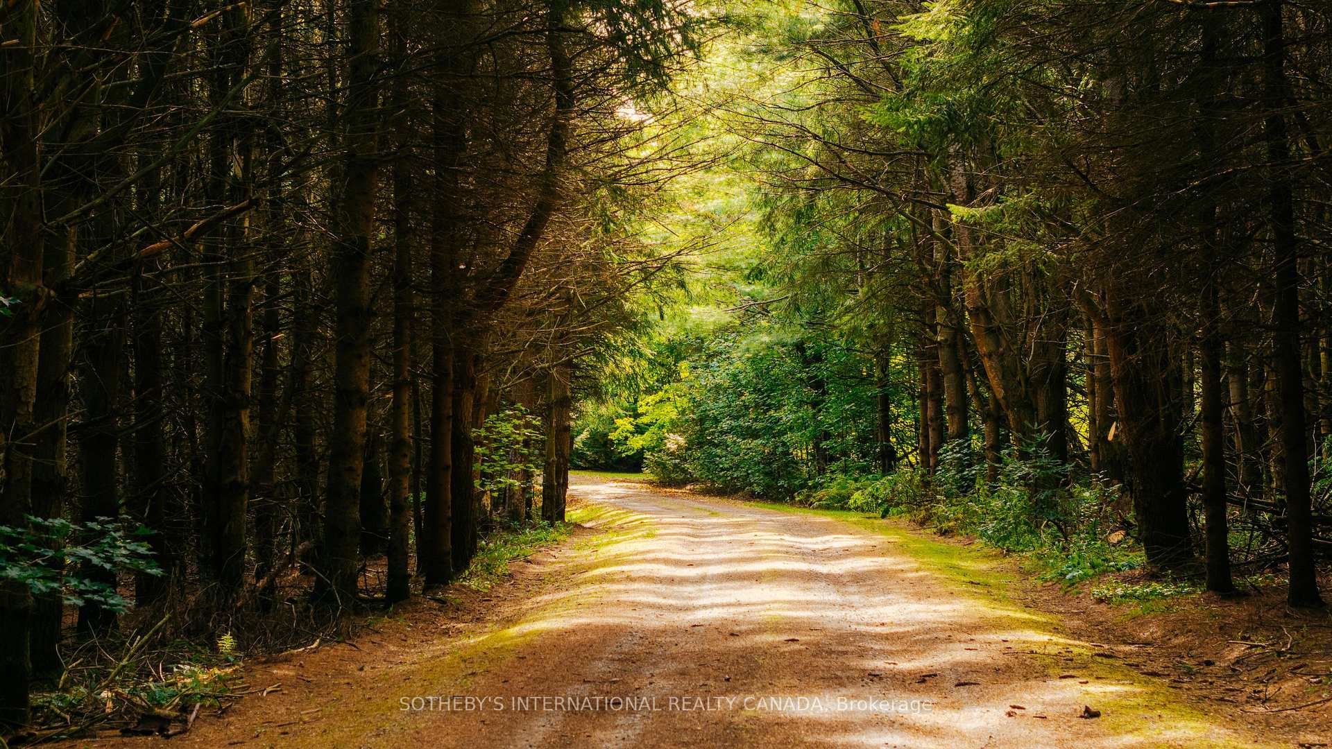Photo 8 of 435201 4th Line, Amaranth, Rural Amaranth — HOMEH