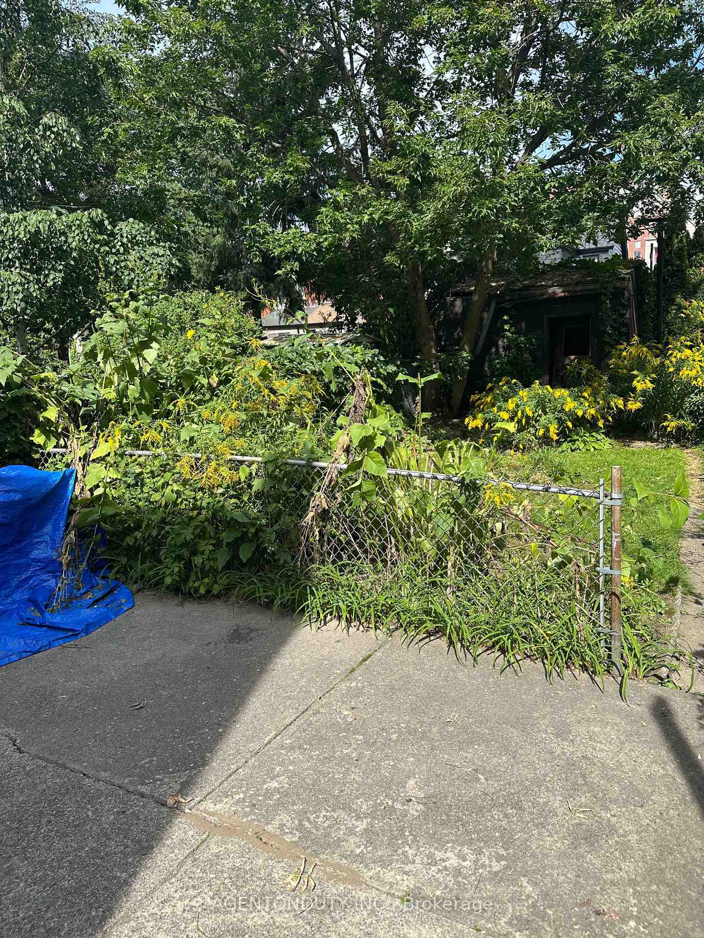 Photo 31 of 51 Perth Avenue, Toronto, Dufferin Grove — HOMEH