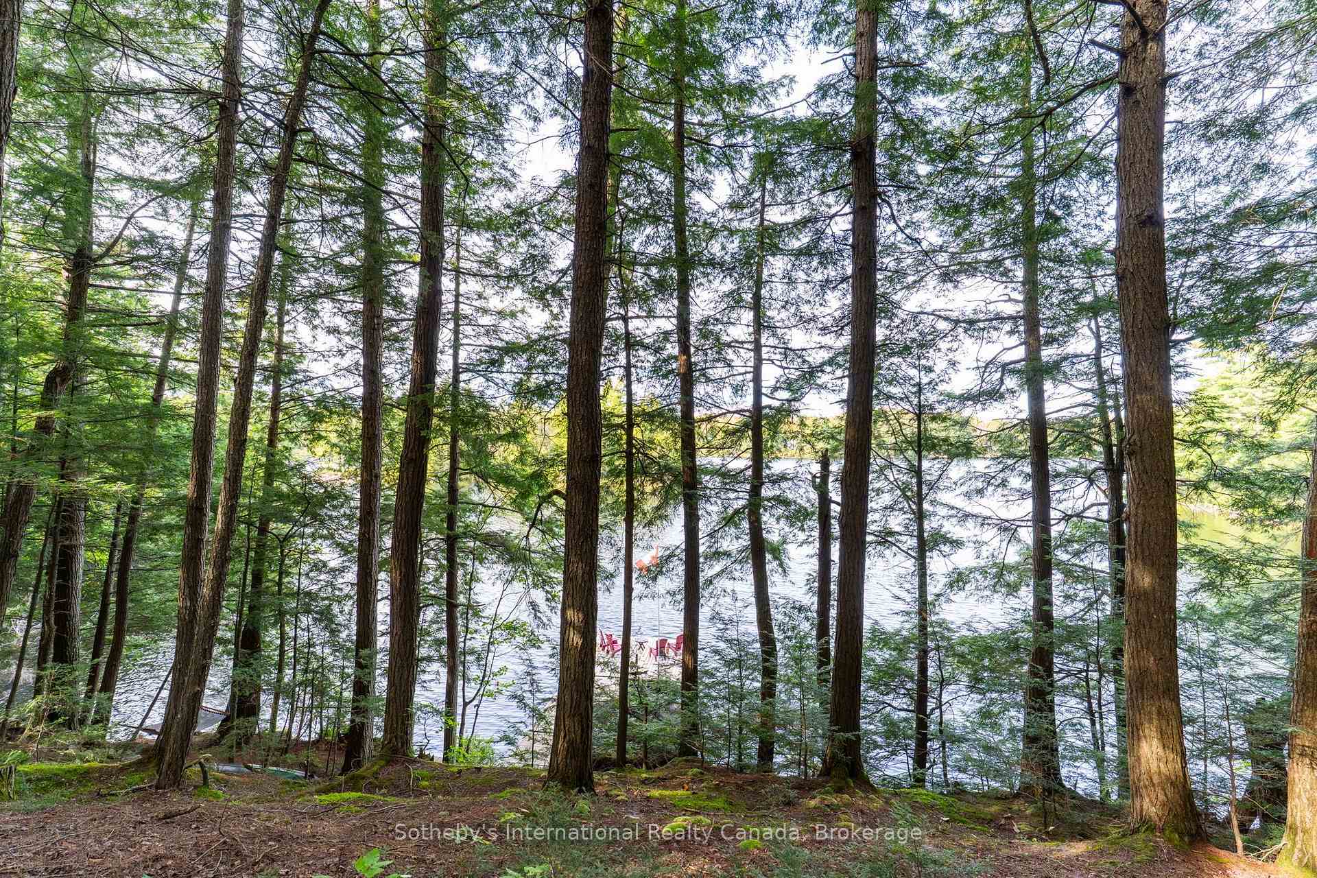 Photo 32 of 1058 Timber Trail, Bracebridge, Oakley — HOMEH