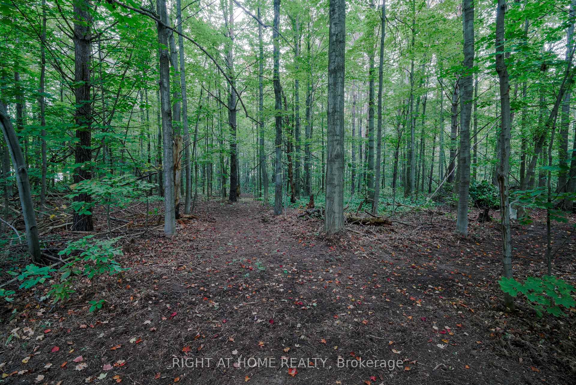 Photo 67 of 1602 County 92 Road, Springwater, Rural Springwater — HOMEH