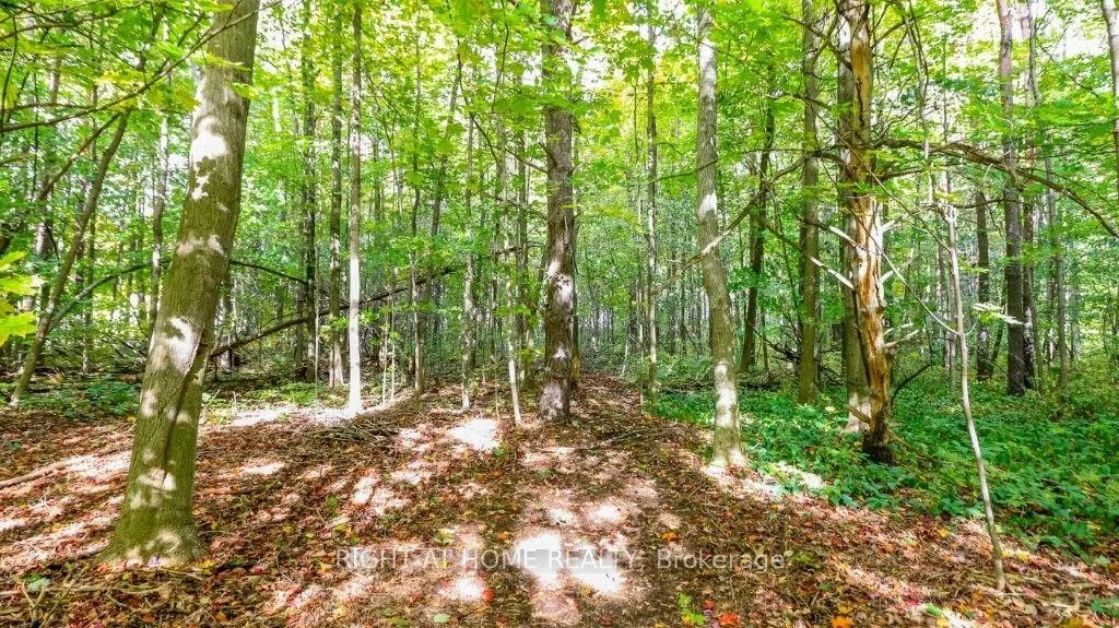 Photo 69 of 1602 County 92 Road, Springwater, Rural Springwater — HOMEH