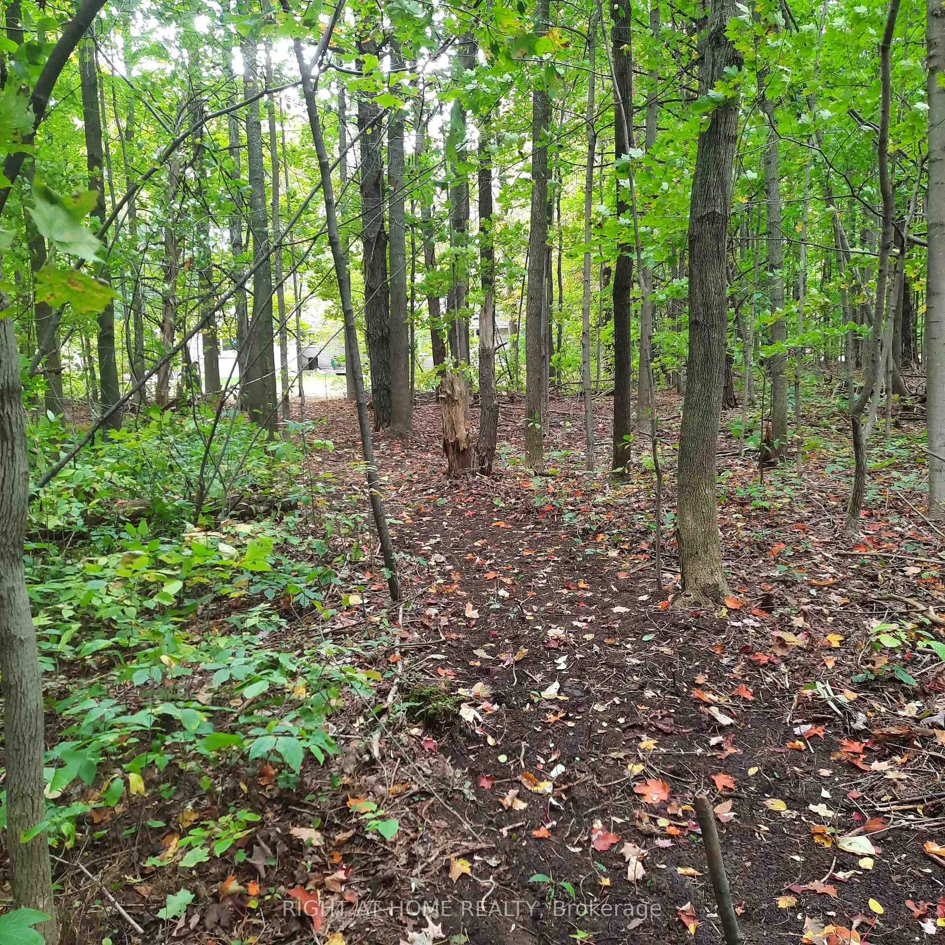 Photo 79 of 1602 County 92 Road, Springwater, Rural Springwater — HOMEH