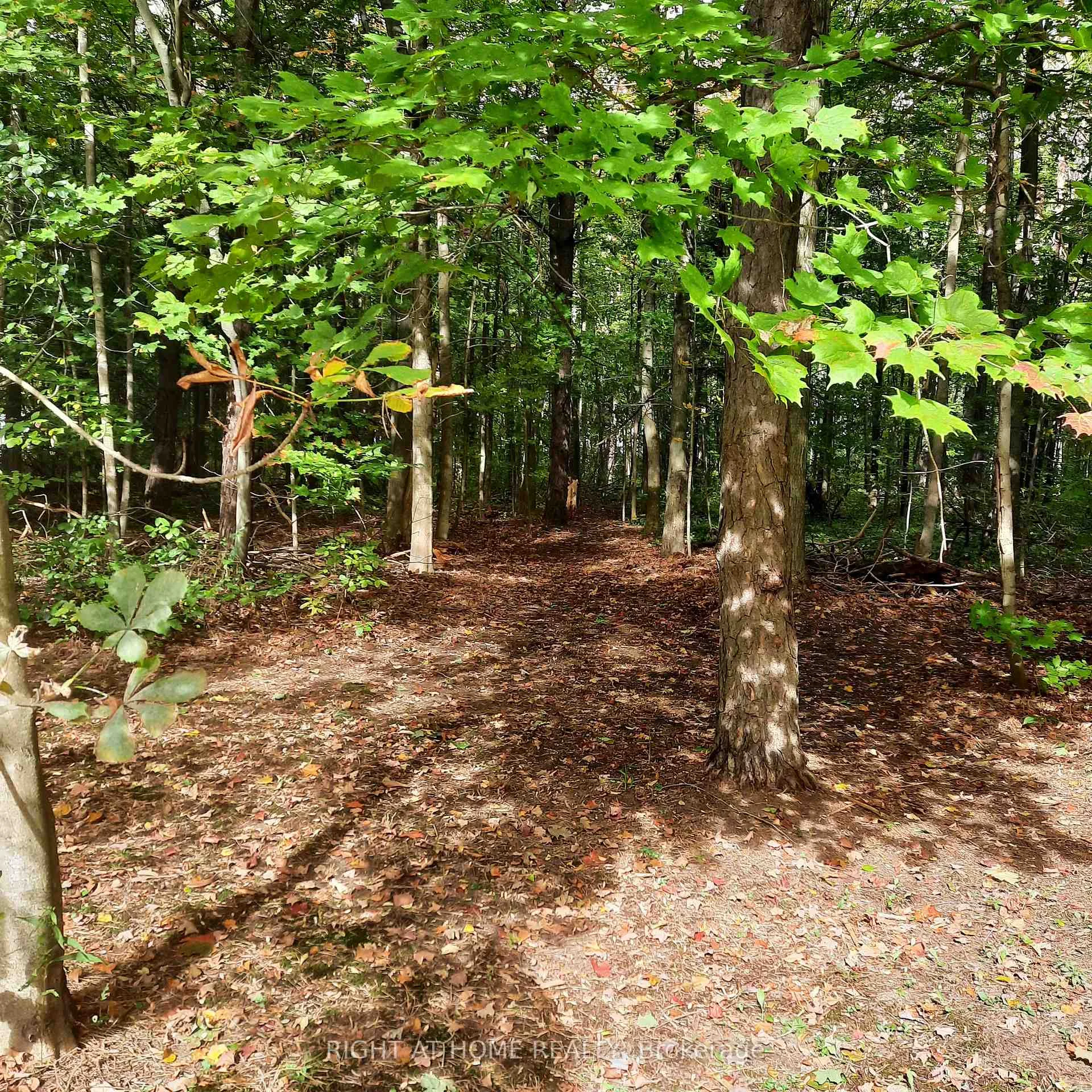 Photo 80 of 1602 County 92 Road, Springwater, Rural Springwater — HOMEH