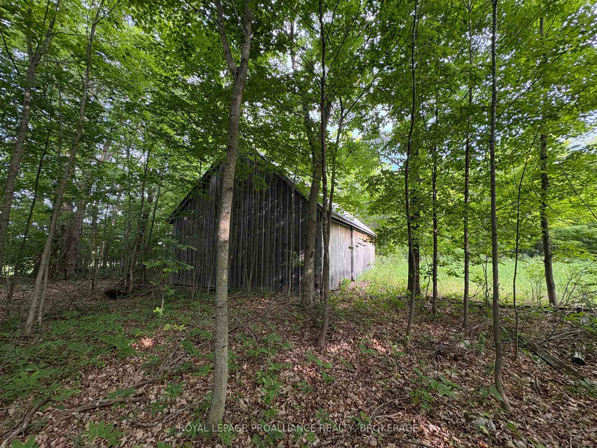 Photo of LOT 3 Jamieson Road