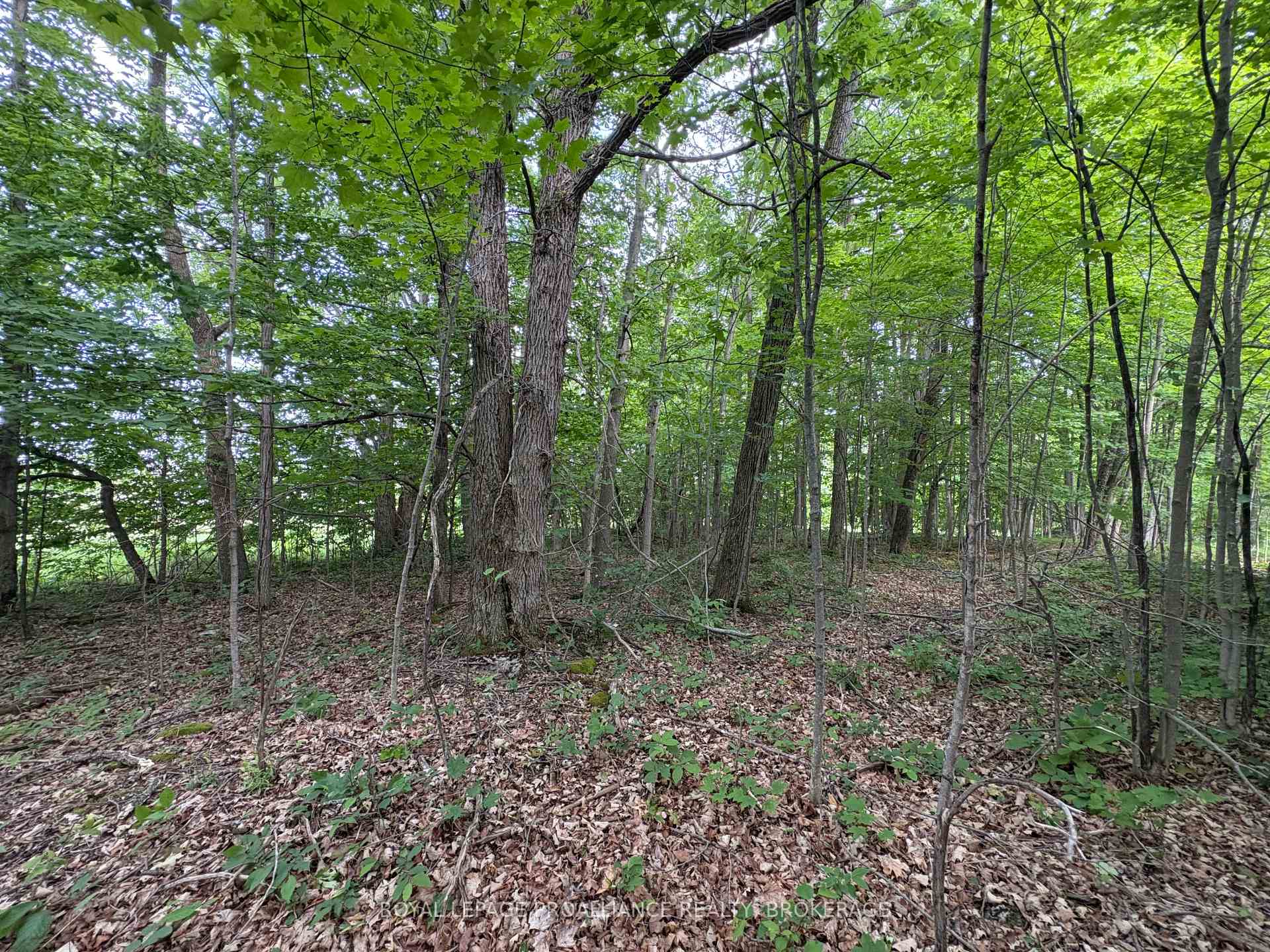 Photo 4 of LOT 3 Jamieson Road, Frontenac, Frontenac South — HOMEH