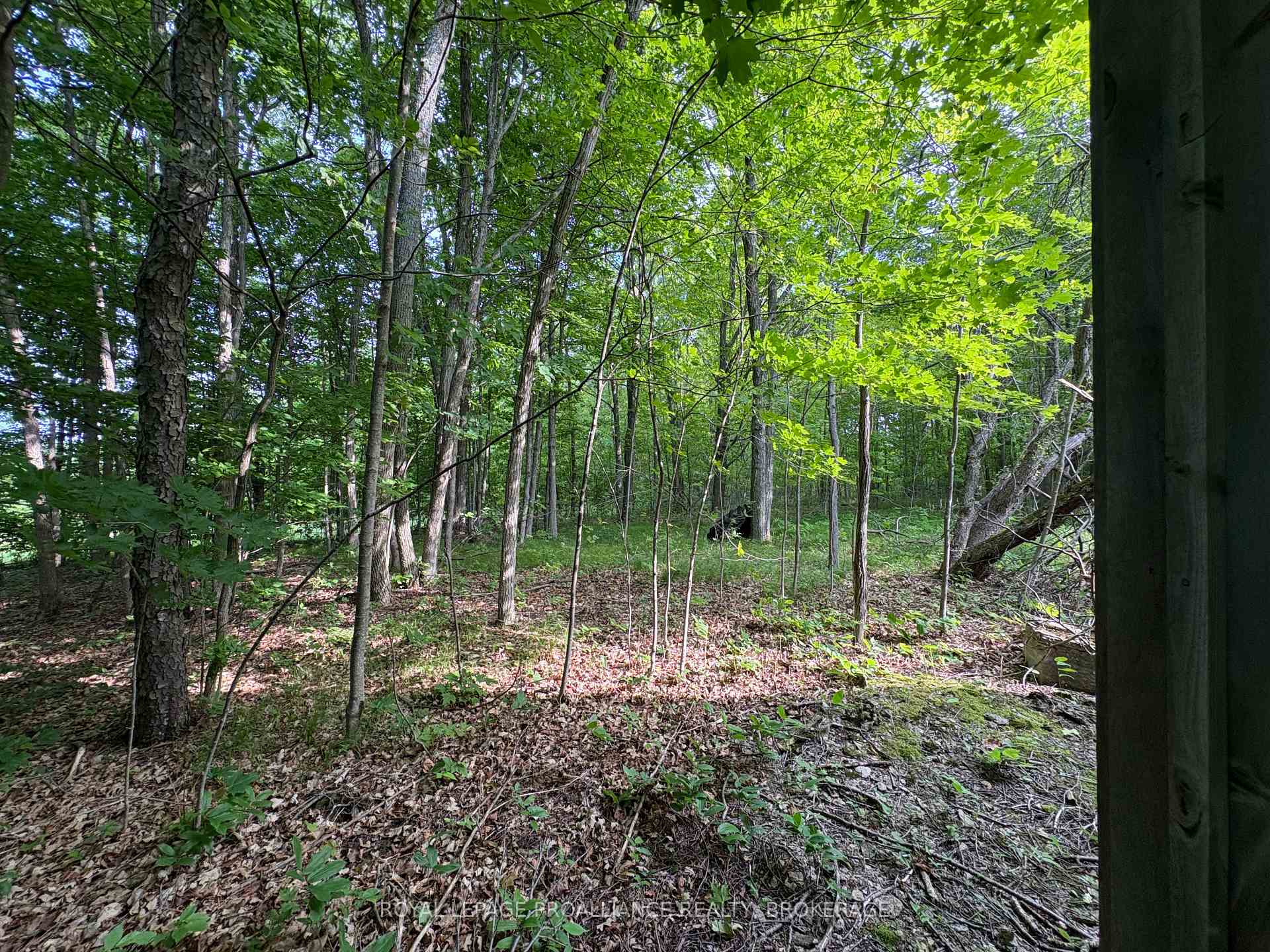 Photo 5 of LOT 3 Jamieson Road, Frontenac, Frontenac South — HOMEH