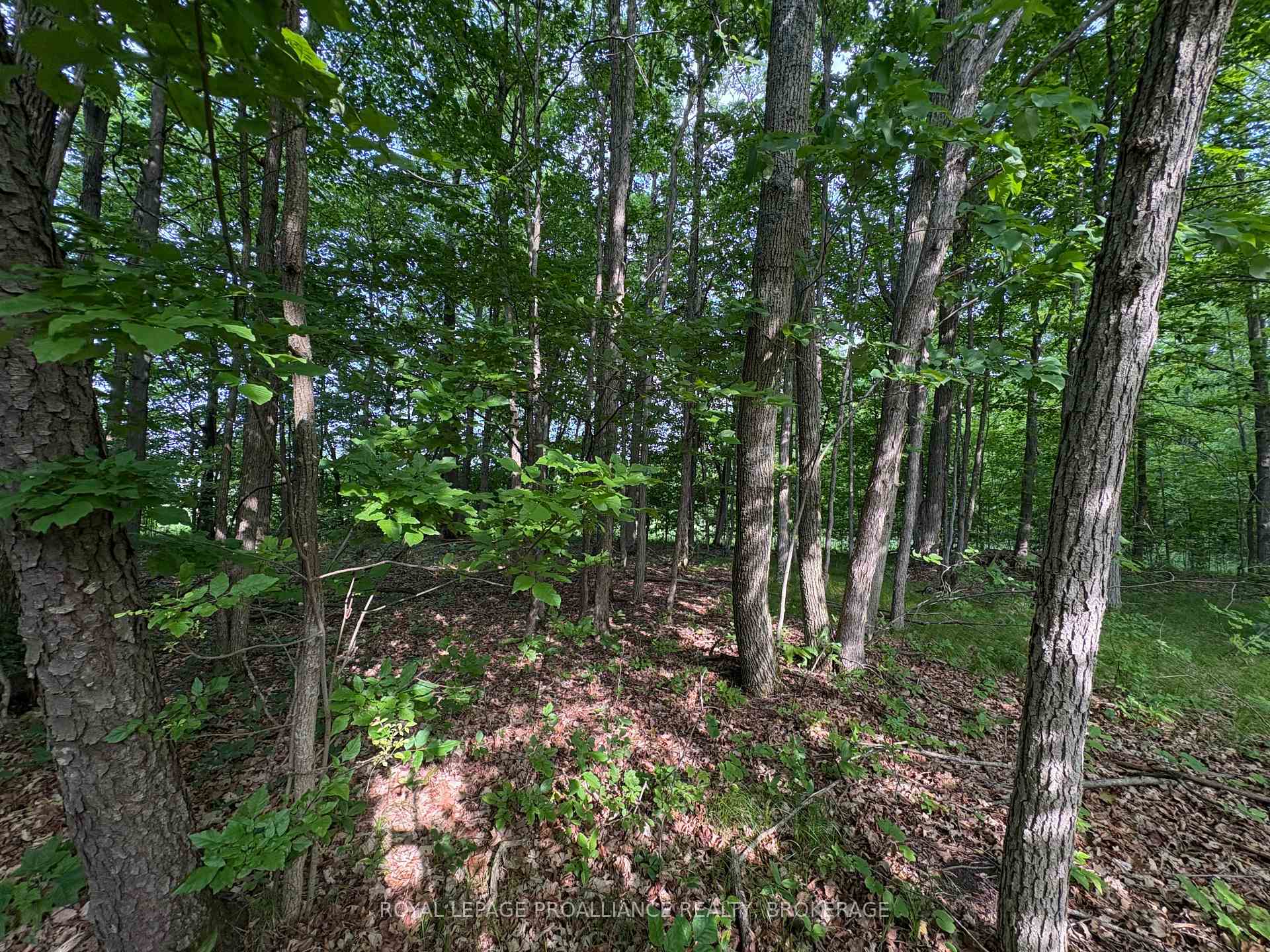 Photo 6 of LOT 3 Jamieson Road, Frontenac, Frontenac South — HOMEH