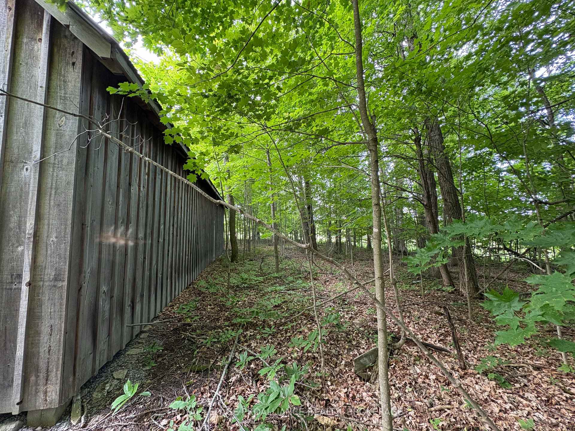 Photo 7 of LOT 3 Jamieson Road, Frontenac, Frontenac South — HOMEH
