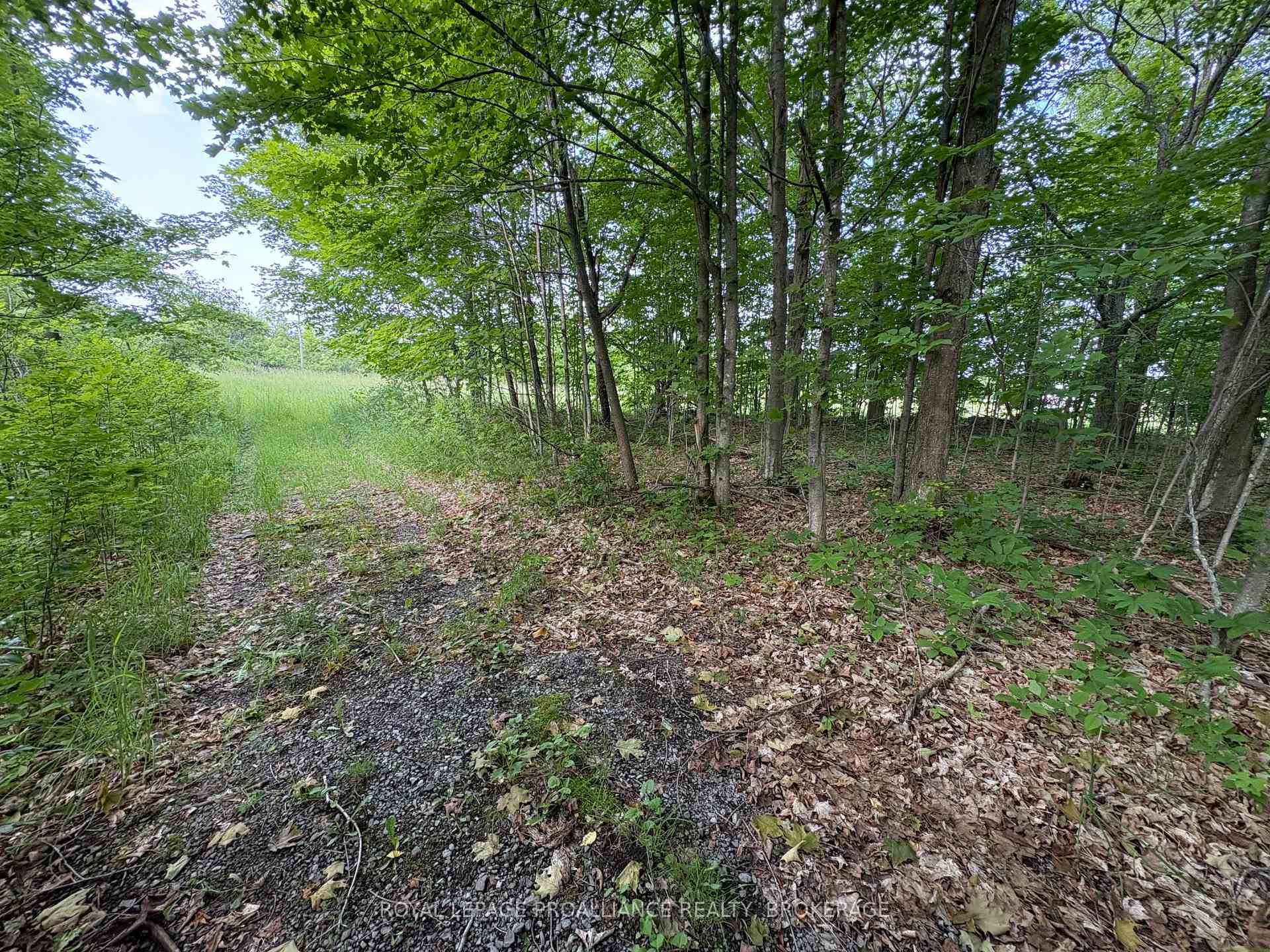 Photo 13 of LOT 3 Jamieson Road, Frontenac, Frontenac South — HOMEH