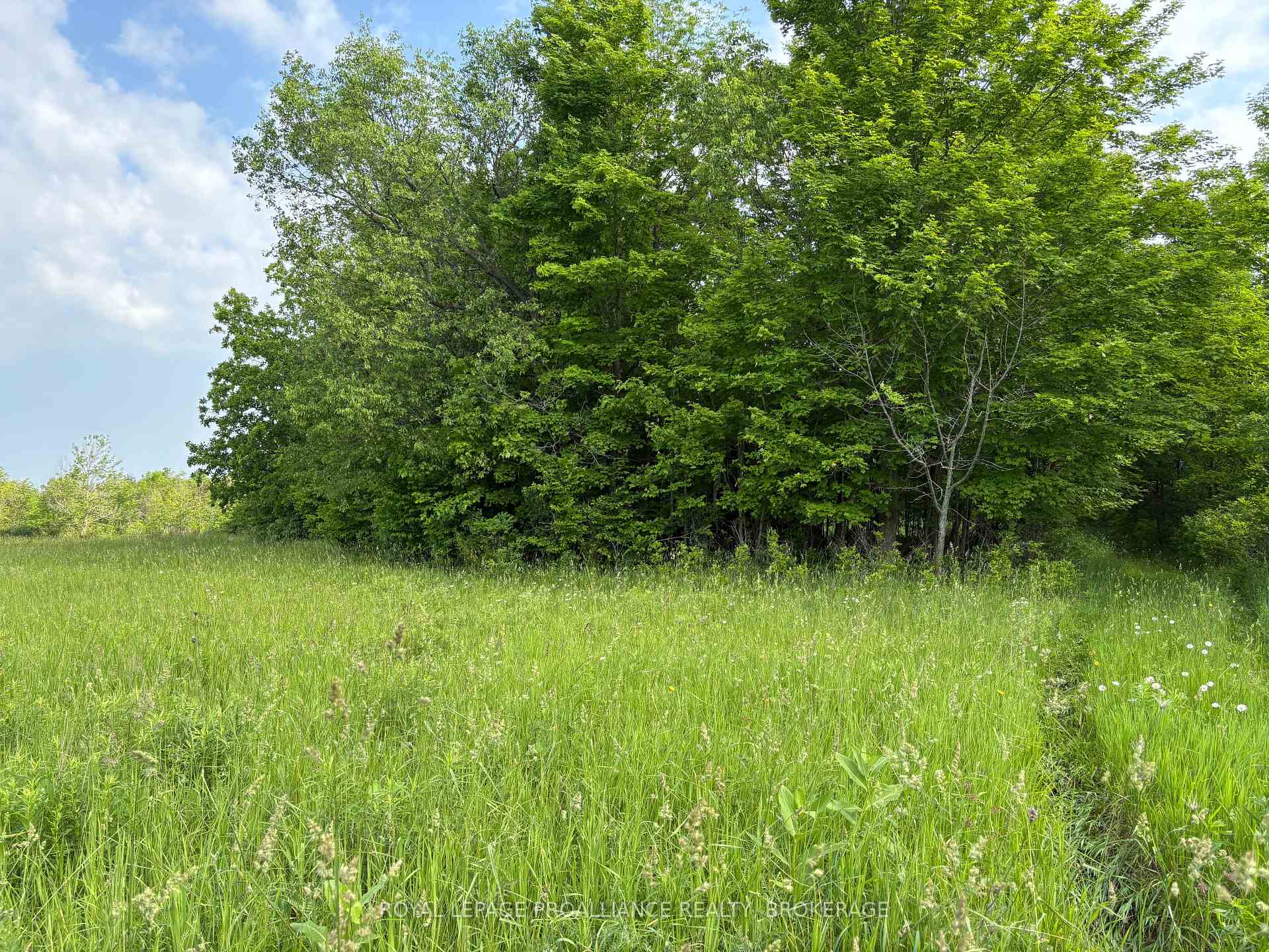 Photo 14 of LOT 3 Jamieson Road, Frontenac, Frontenac South — HOMEH