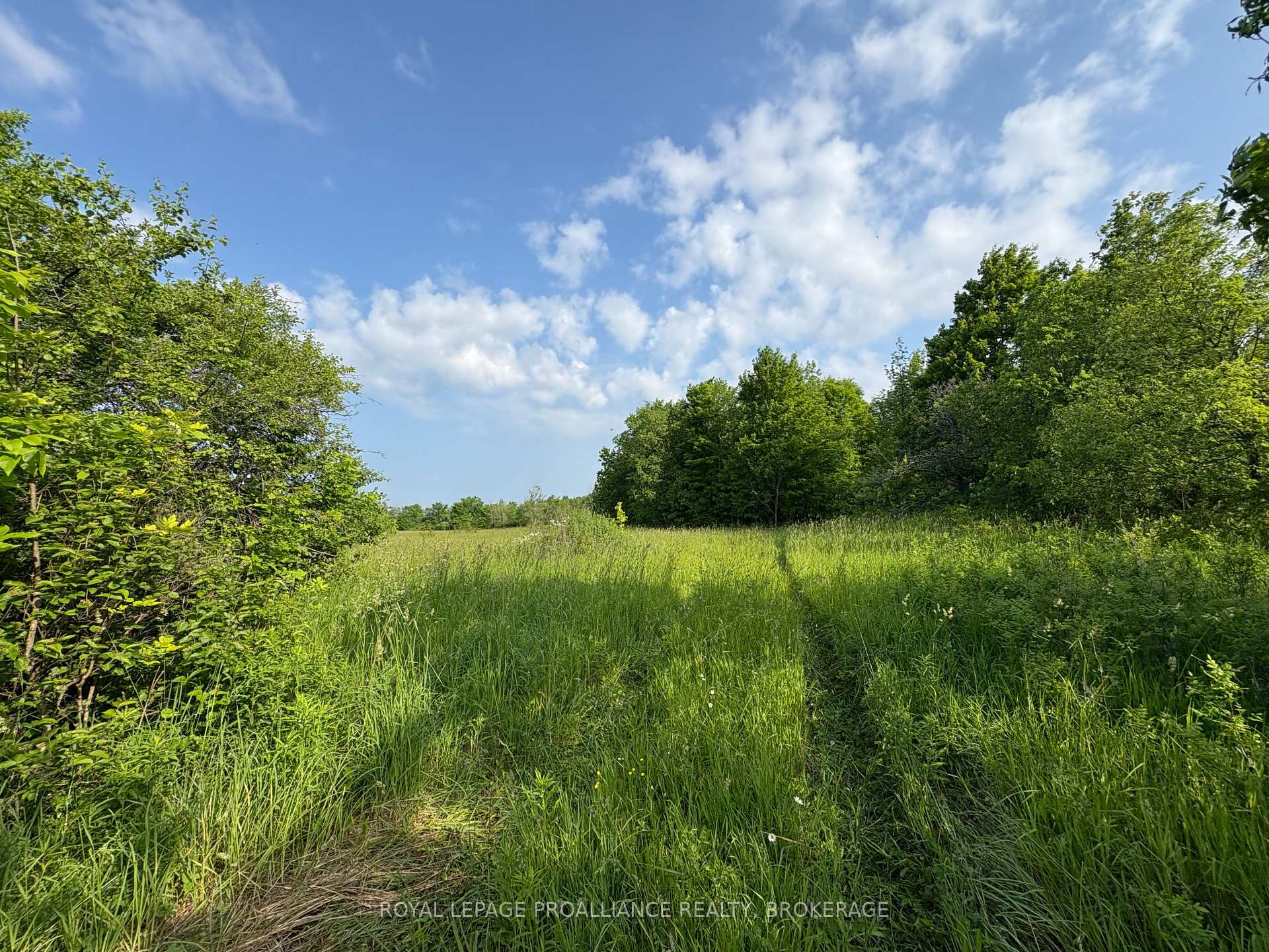 Photo 21 of LOT 3 Jamieson Road, Frontenac, Frontenac South — HOMEH
