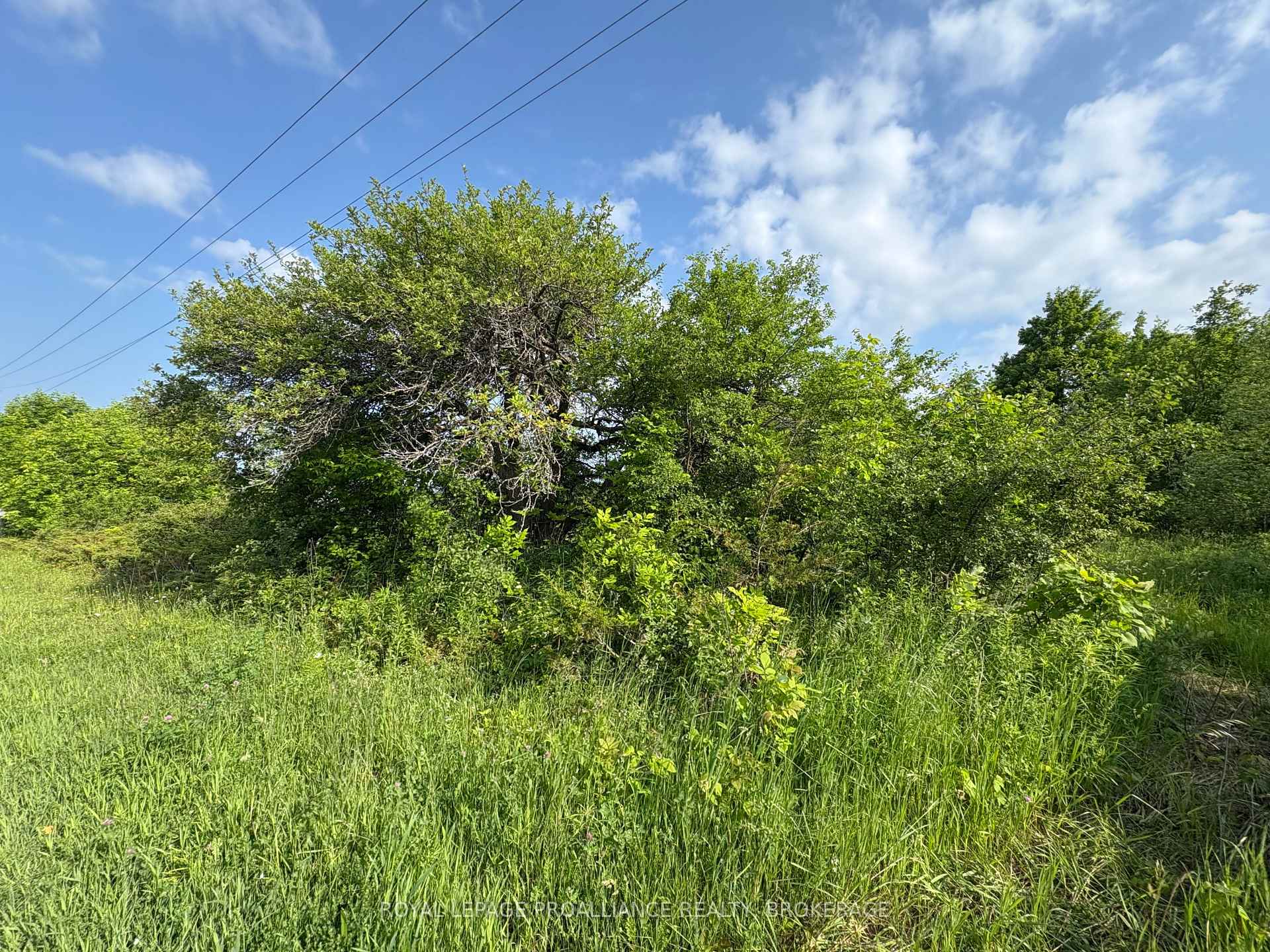 Photo 22 of LOT 3 Jamieson Road, Frontenac, Frontenac South — HOMEH