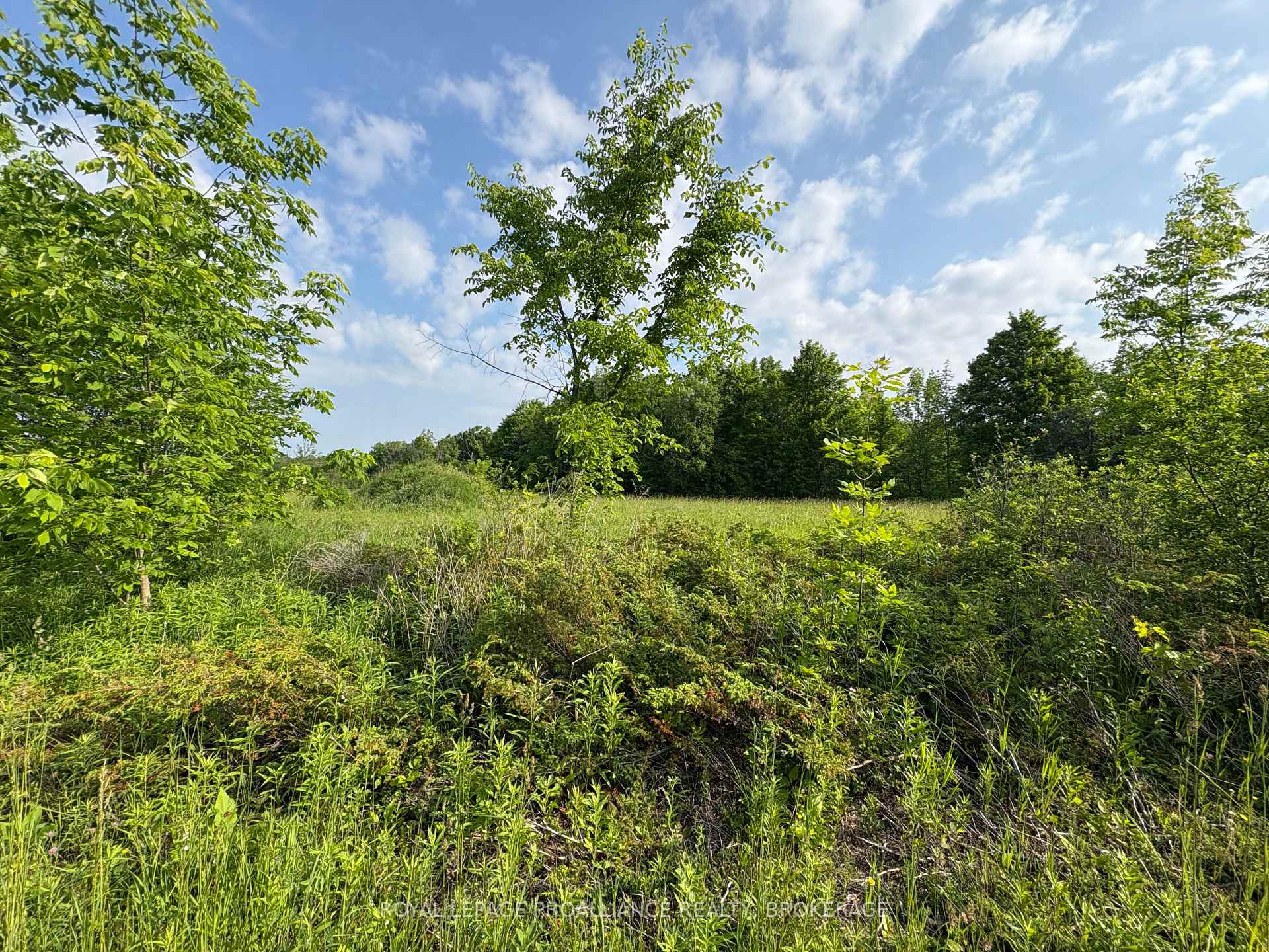 Photo 23 of LOT 3 Jamieson Road, Frontenac, Frontenac South — HOMEH