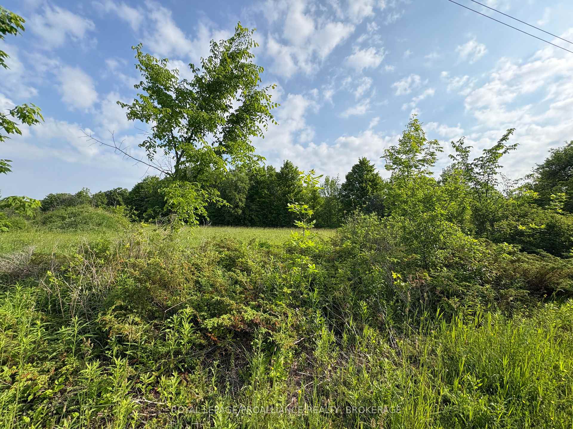 Photo 24 of LOT 3 Jamieson Road, Frontenac, Frontenac South — HOMEH