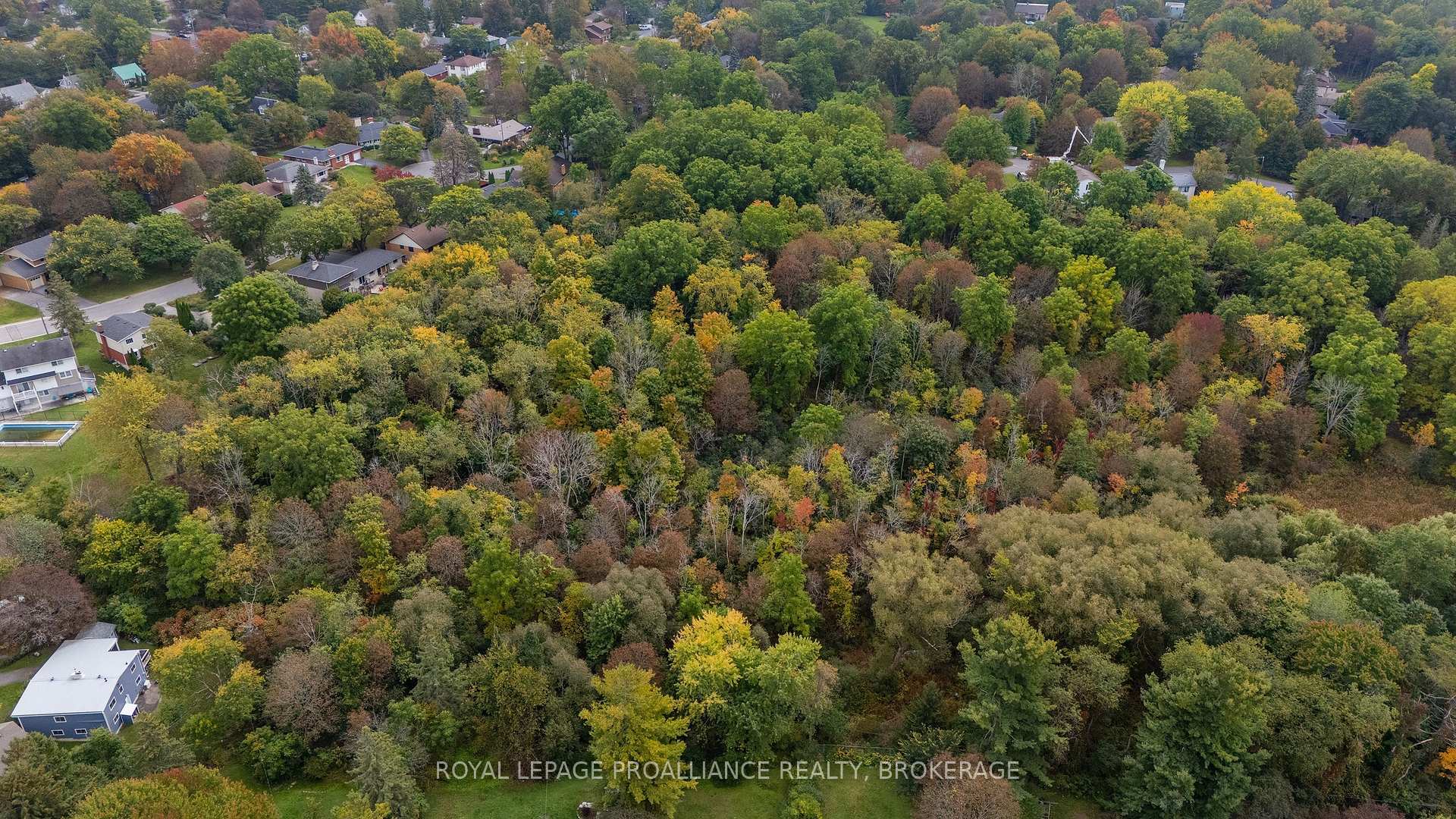 Photo 37 of 151 Hawthorne Avenue, Kingston, West of Sir John A. Blvd — HOMEH