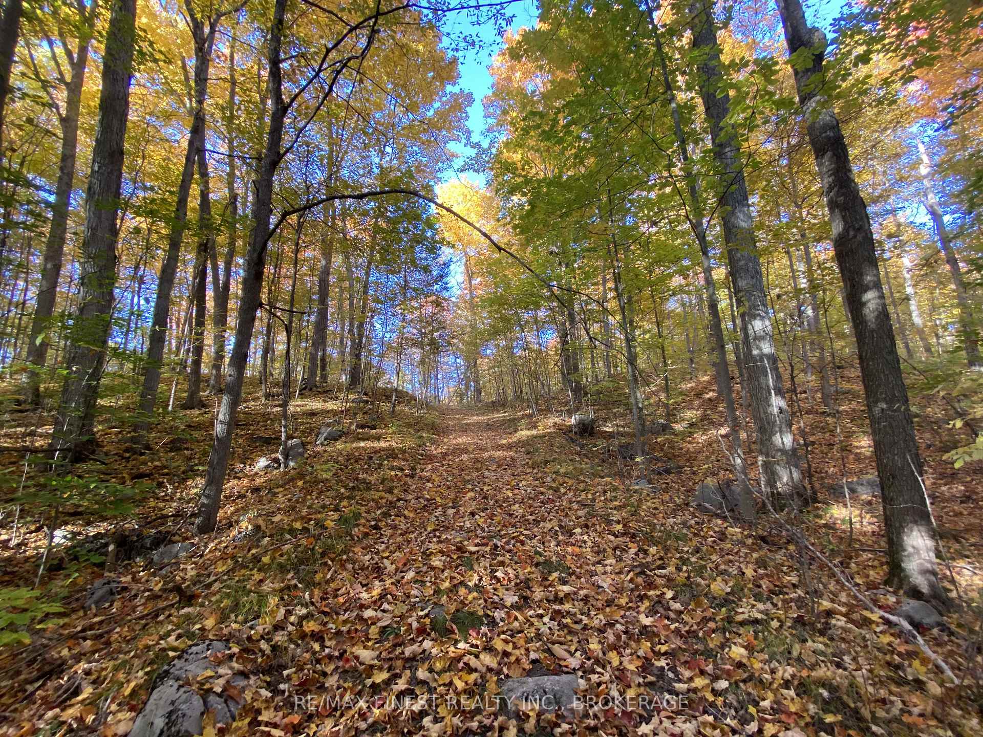 Photo 45 of 180 Napanee Road, Tweed, Hungerford (Twp) — HOMEH