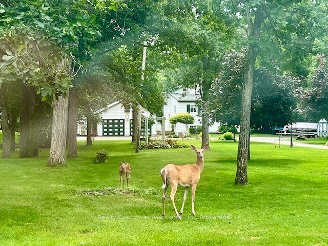 Photo 37 of 345 Hillside Drive, Trent Hills, Rural Trent Hills — HOMEH