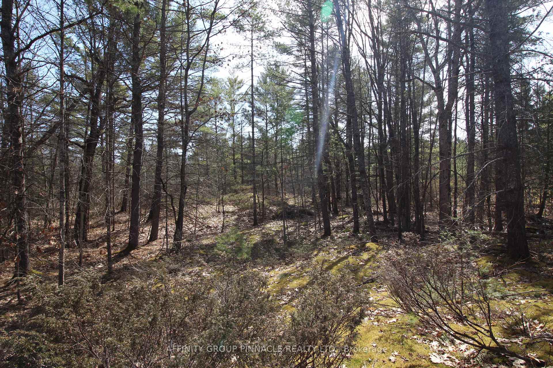 Photo 2 of LOT 15 Concession 9, Trent Lakes — HOMEH