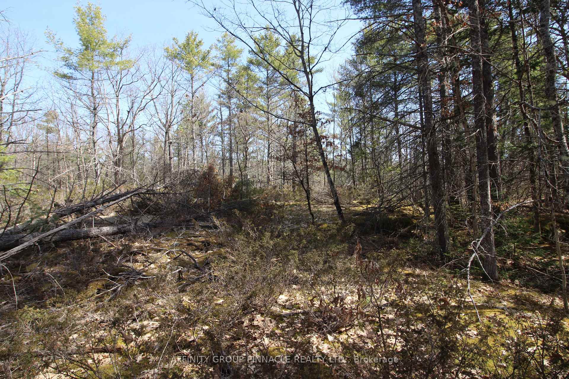 Photo 3 of LOT 15 Concession 9, Trent Lakes — HOMEH