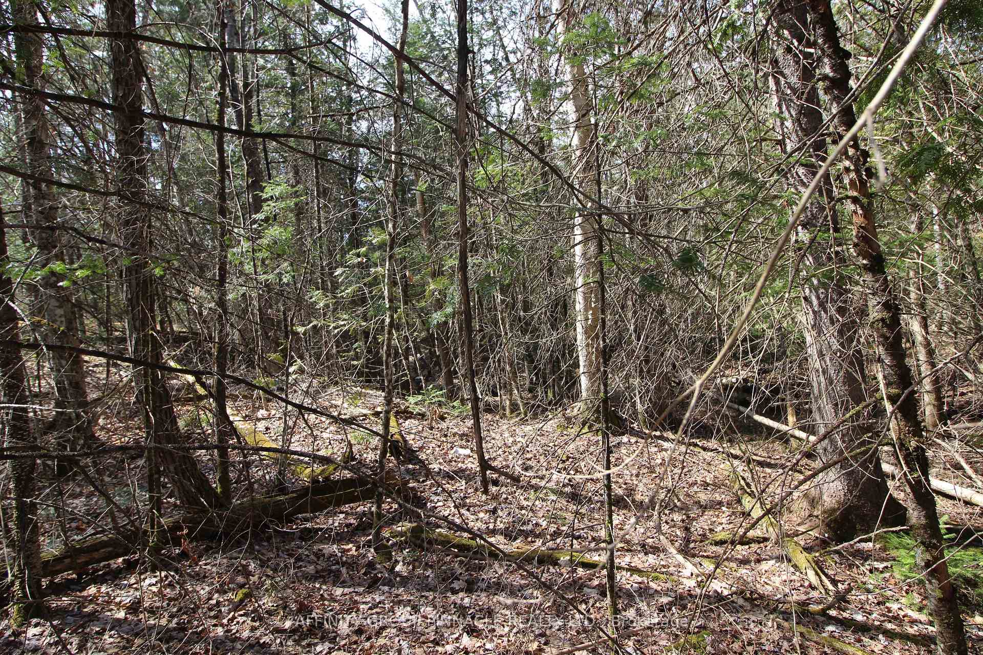 Photo 4 of LOT 15 Concession 9, Trent Lakes — HOMEH