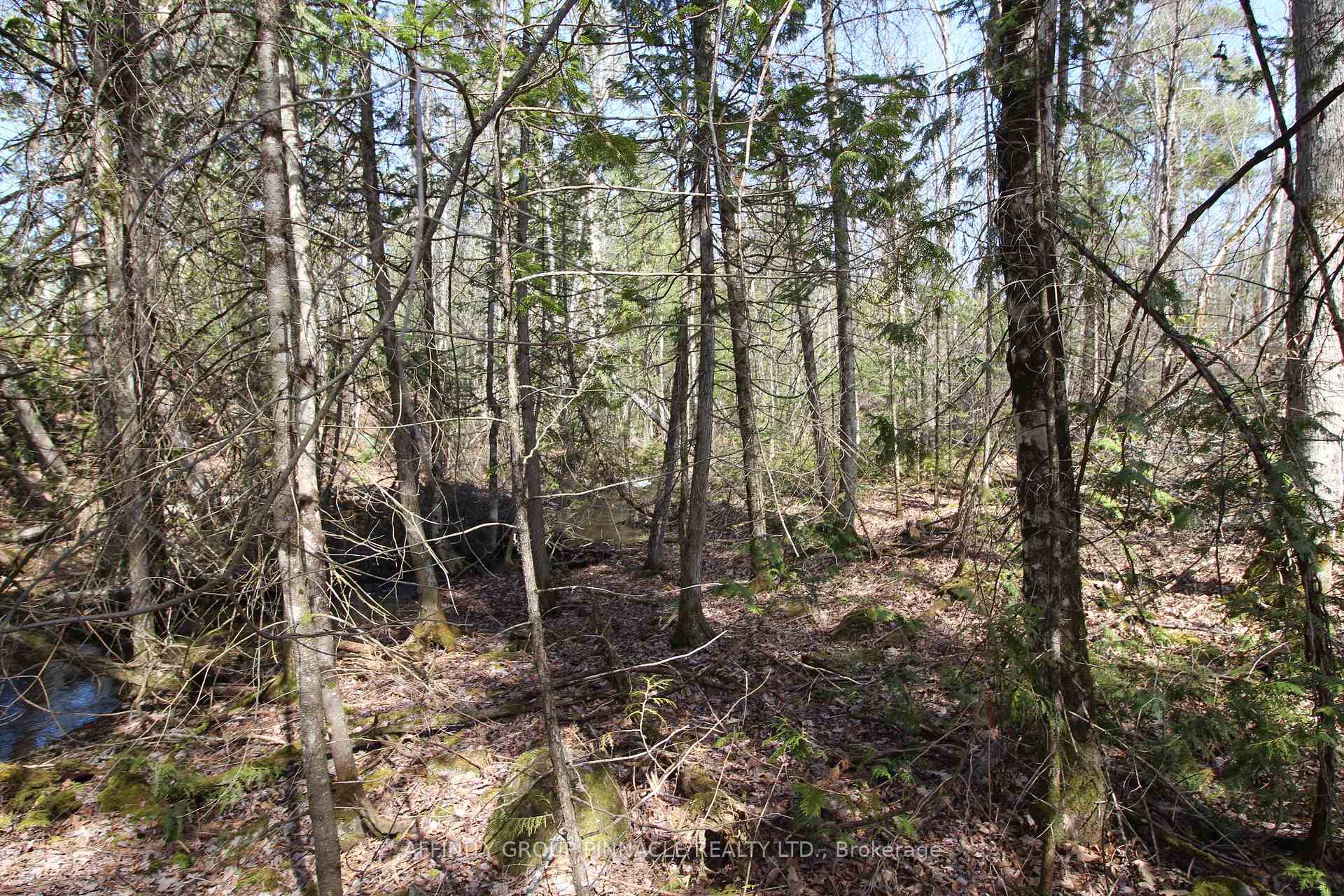 Photo 5 of LOT 15 Concession 9, Trent Lakes — HOMEH