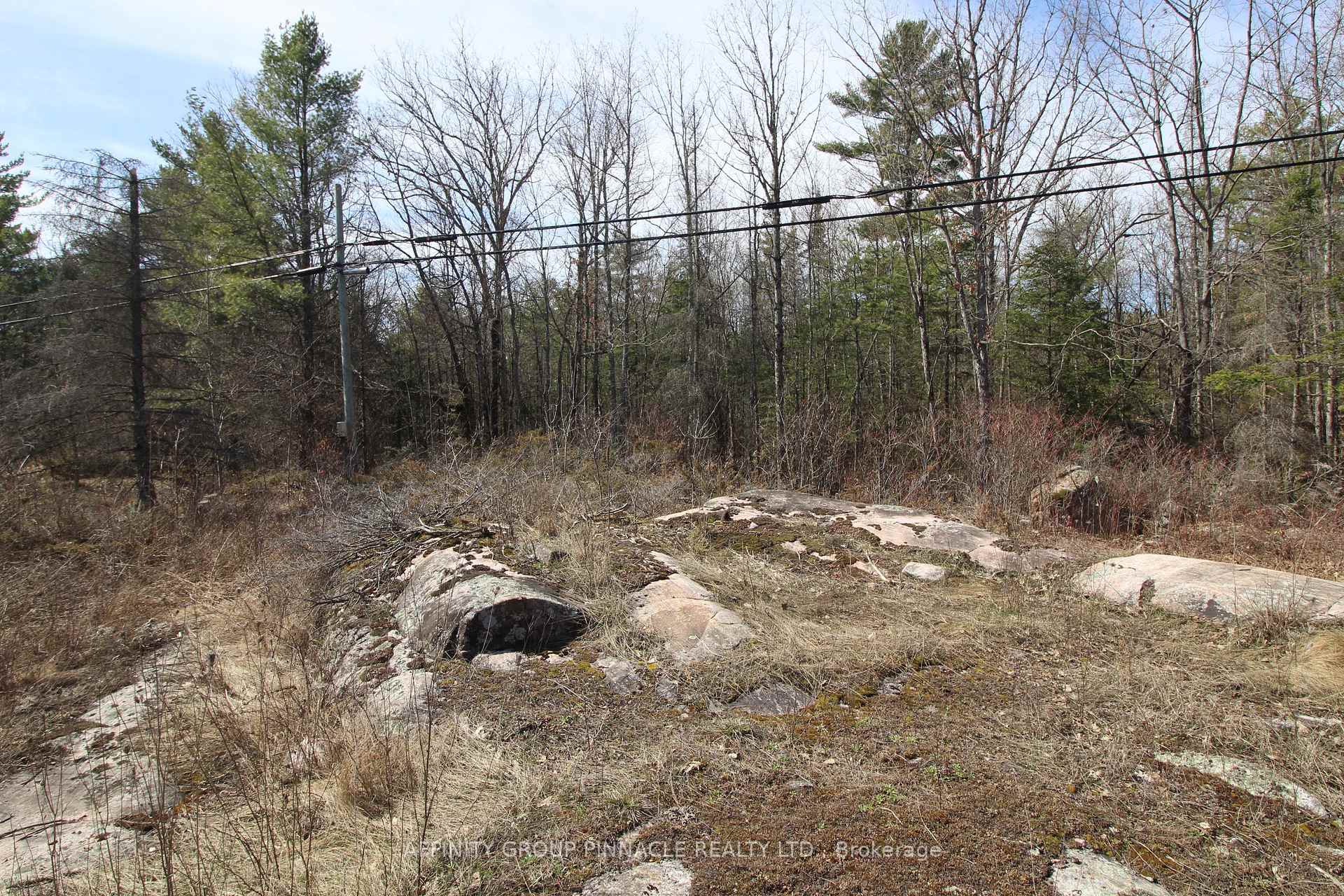 Photo 6 of LOT 15 Concession 9, Trent Lakes — HOMEH