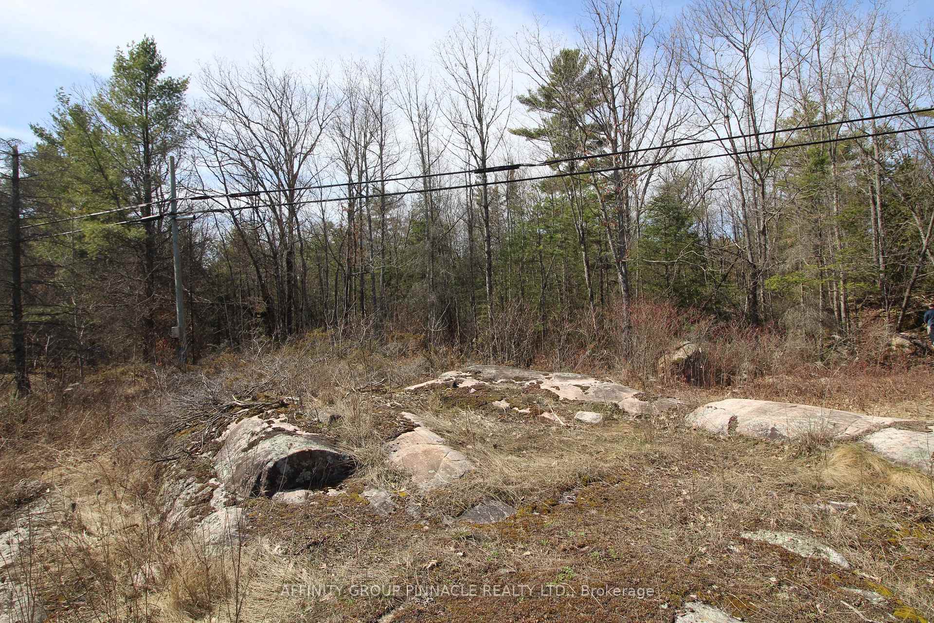 Photo 7 of LOT 15 Concession 9, Trent Lakes — HOMEH
