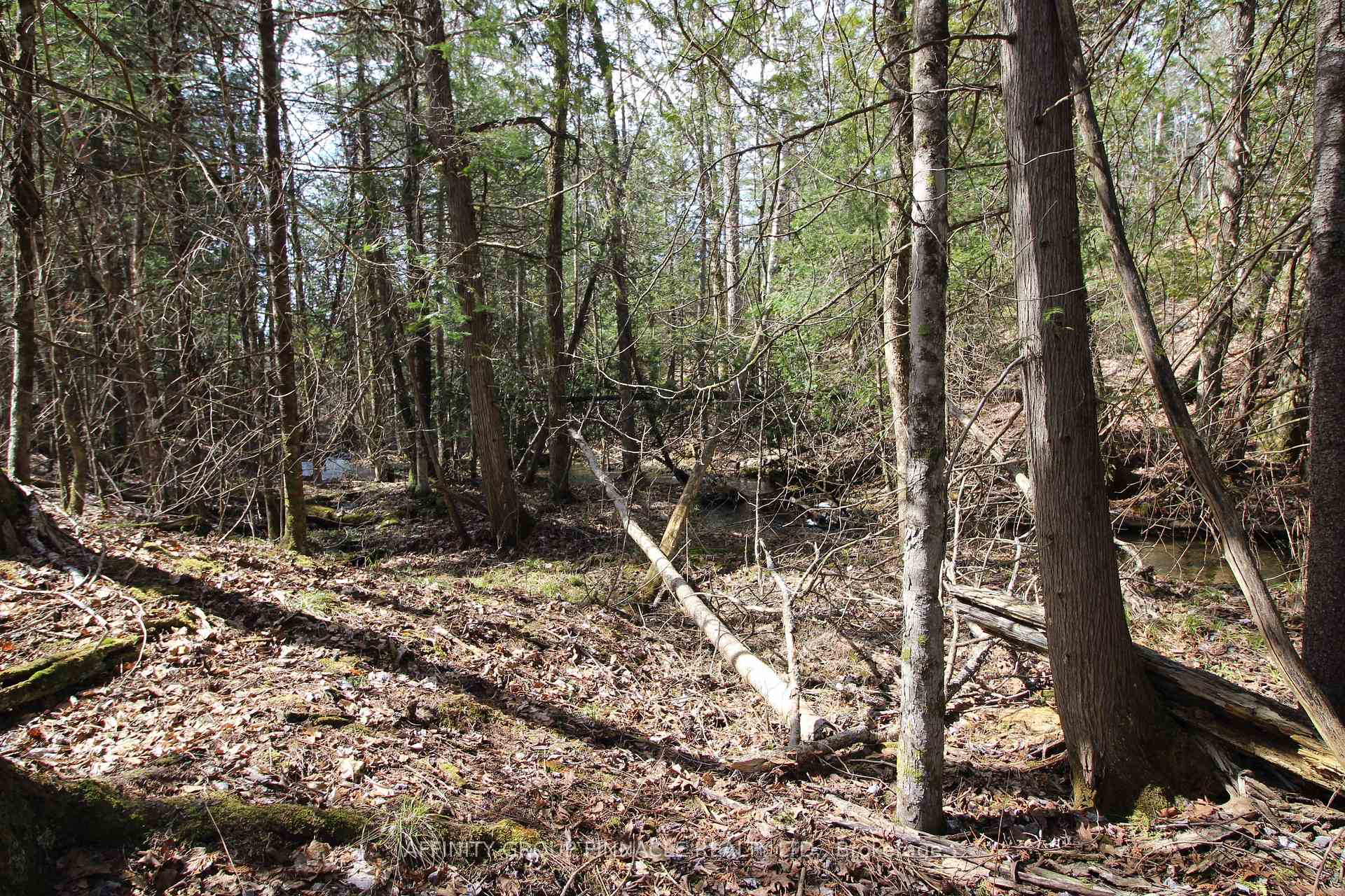 Photo 8 of LOT 15 Concession 9, Trent Lakes — HOMEH
