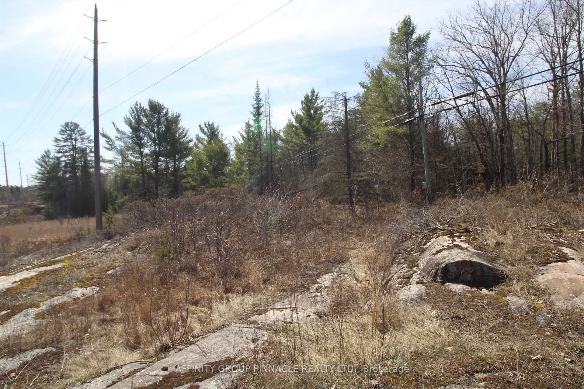 Photo 9 of LOT 15 Concession 9, Trent Lakes — HOMEH