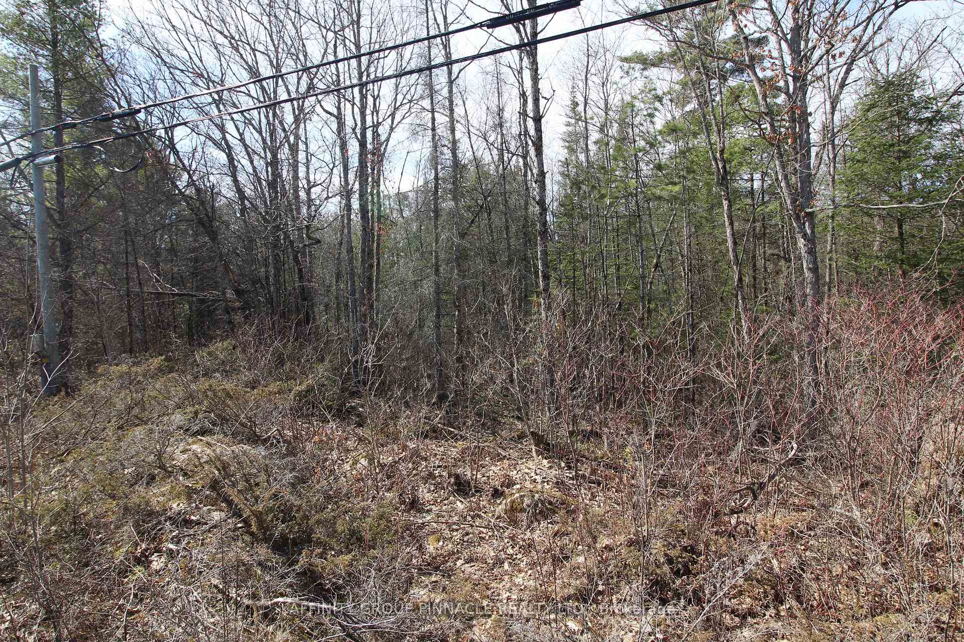 Photo 10 of LOT 15 Concession 9, Trent Lakes — HOMEH