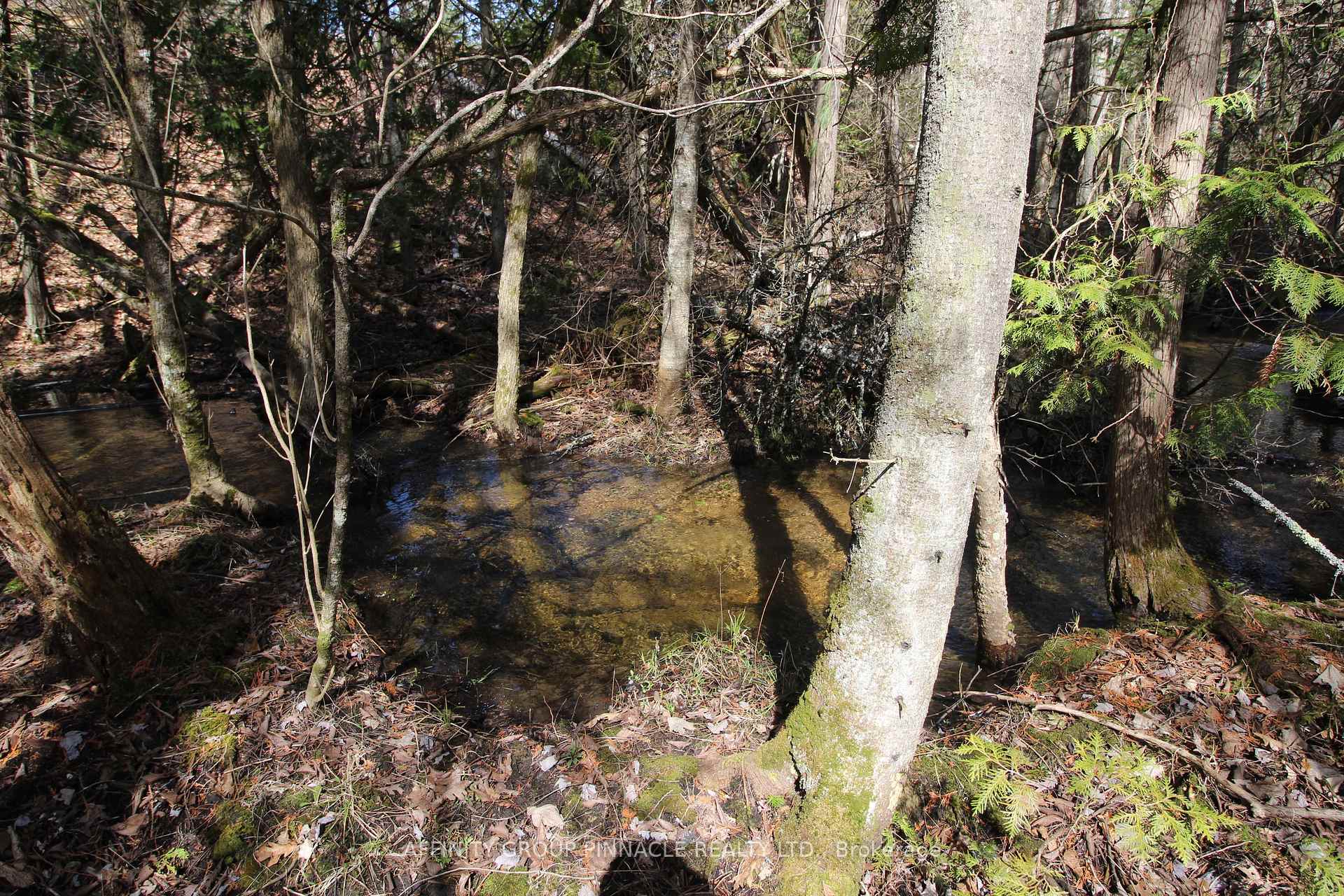 Photo 11 of LOT 15 Concession 9, Trent Lakes — HOMEH