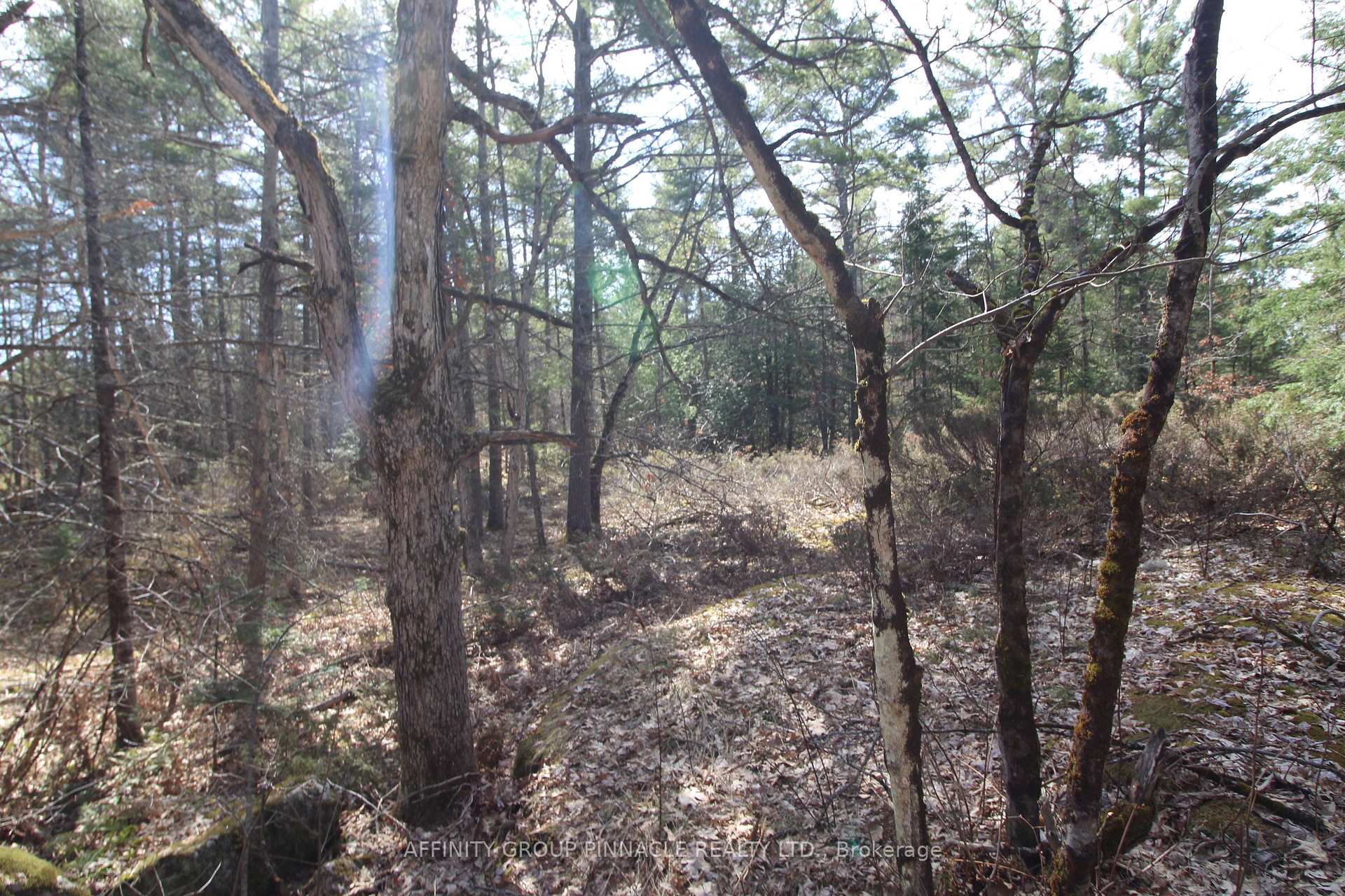 Photo 12 of LOT 15 Concession 9, Trent Lakes — HOMEH