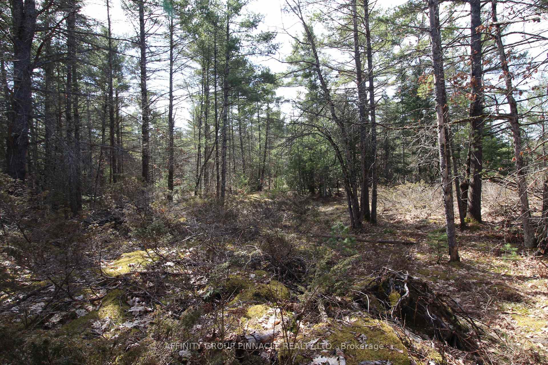 Photo 13 of LOT 15 Concession 9, Trent Lakes — HOMEH