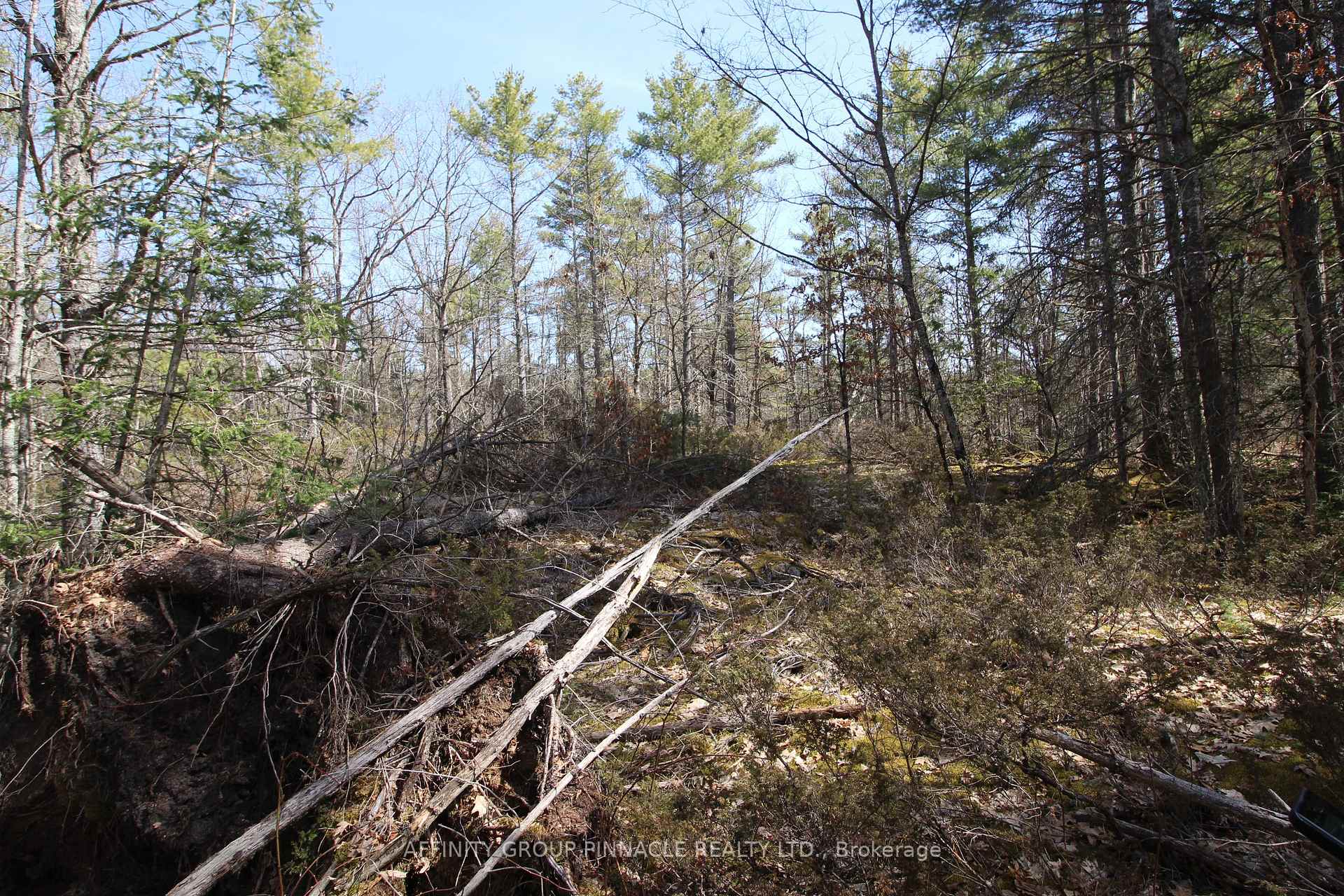Photo 14 of LOT 15 Concession 9, Trent Lakes — HOMEH