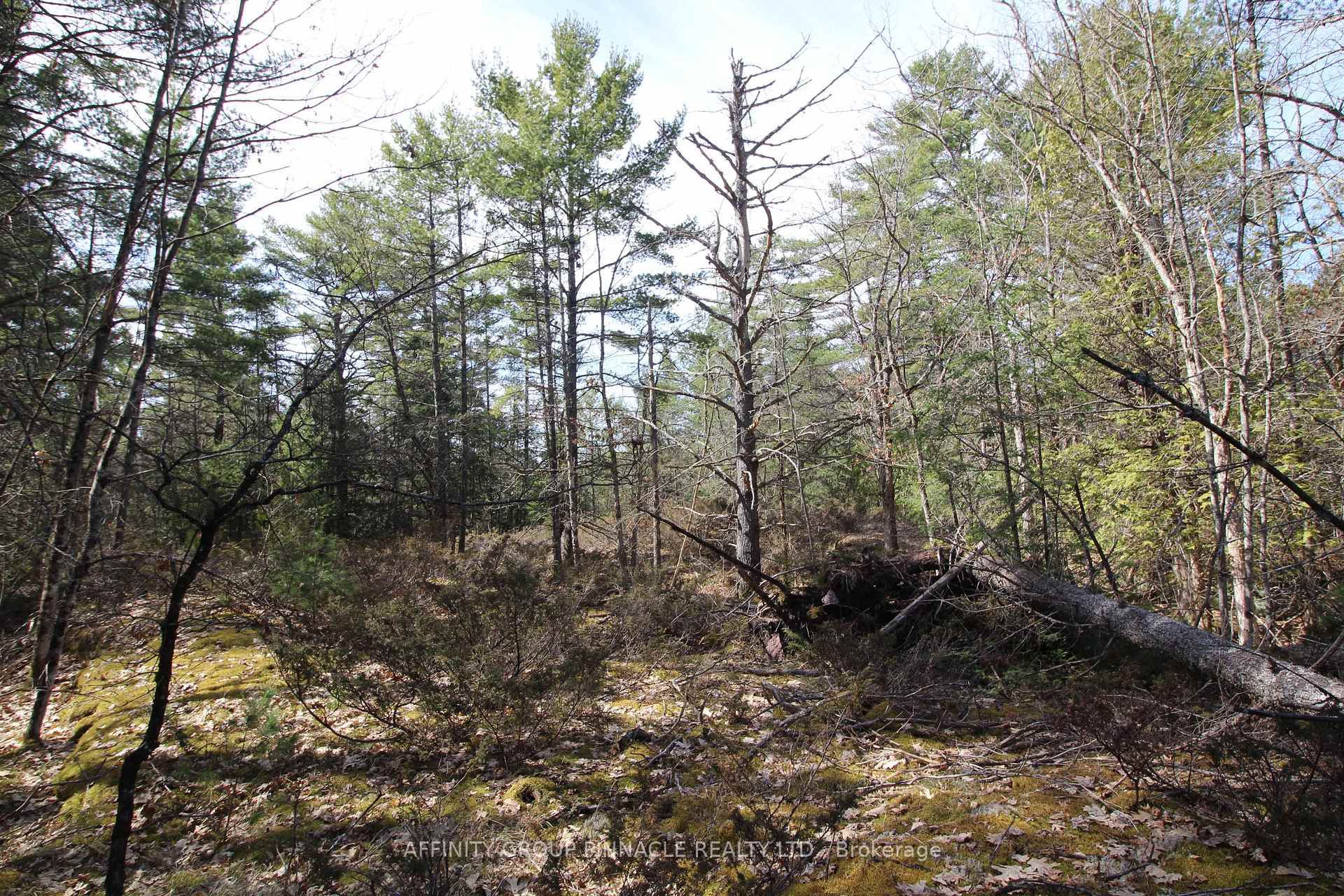 Photo 15 of LOT 15 Concession 9, Trent Lakes — HOMEH